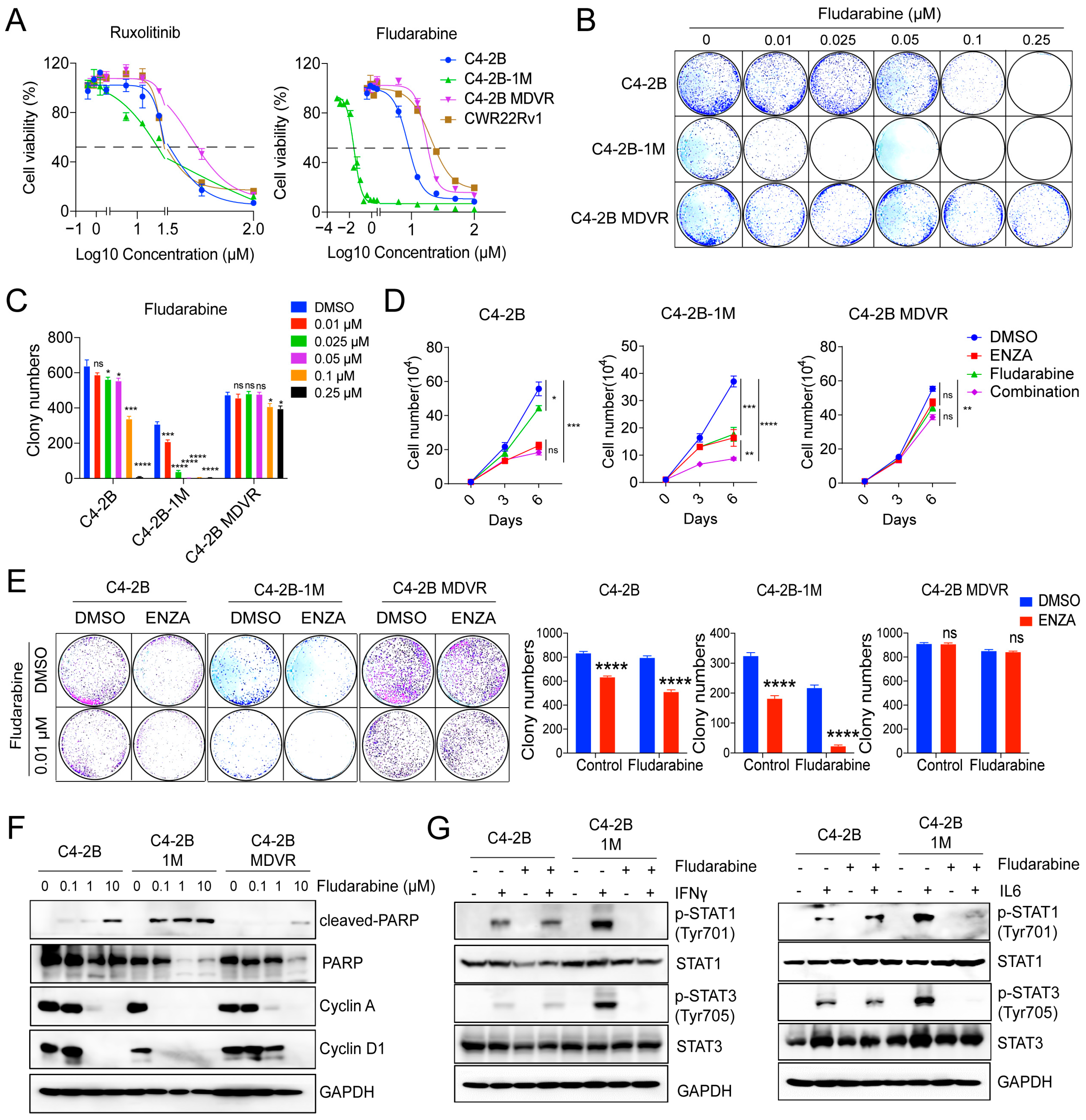 Cancers 17 03187 g006 Cancers 17 03187 g006