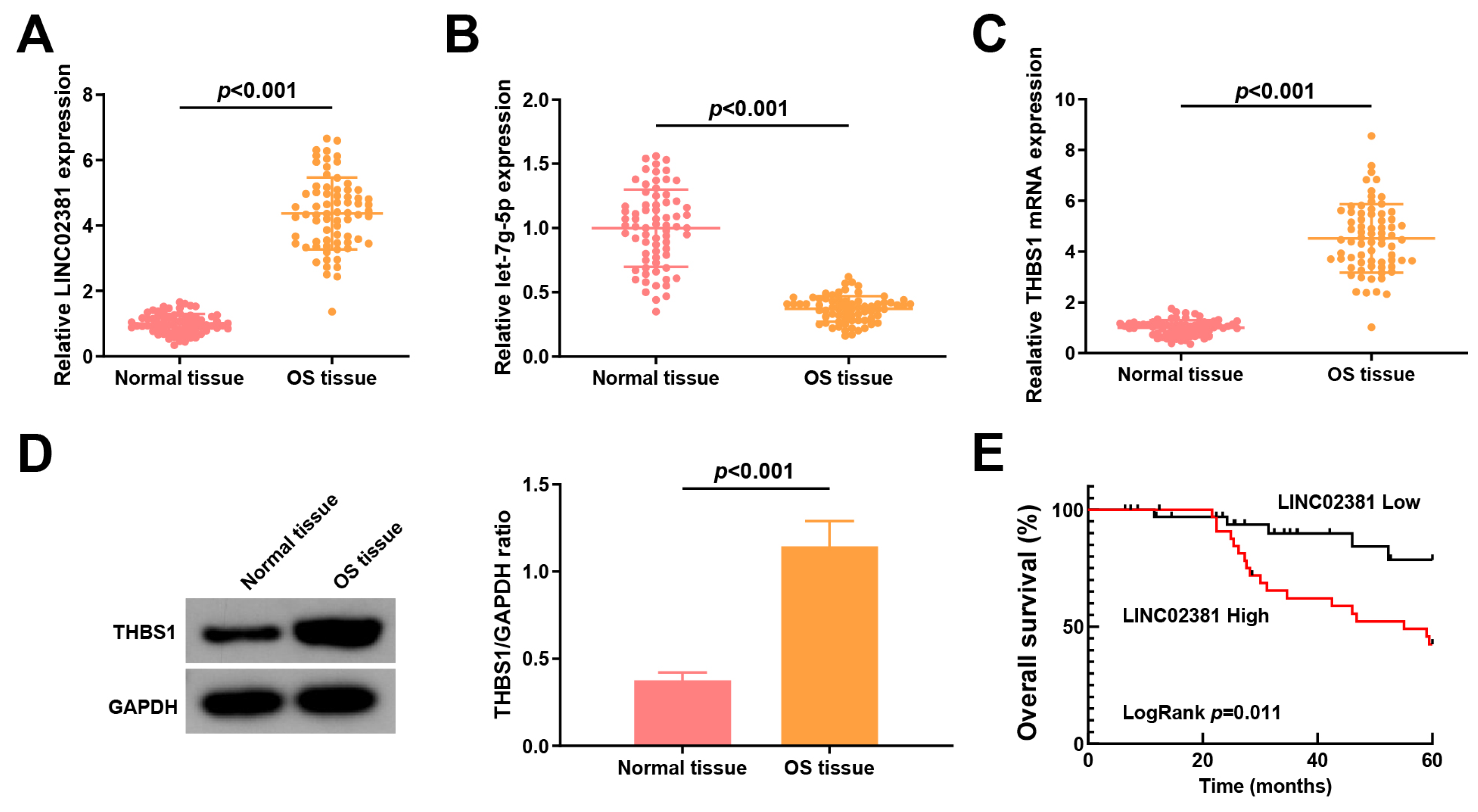 Cancers 17 03194 g001