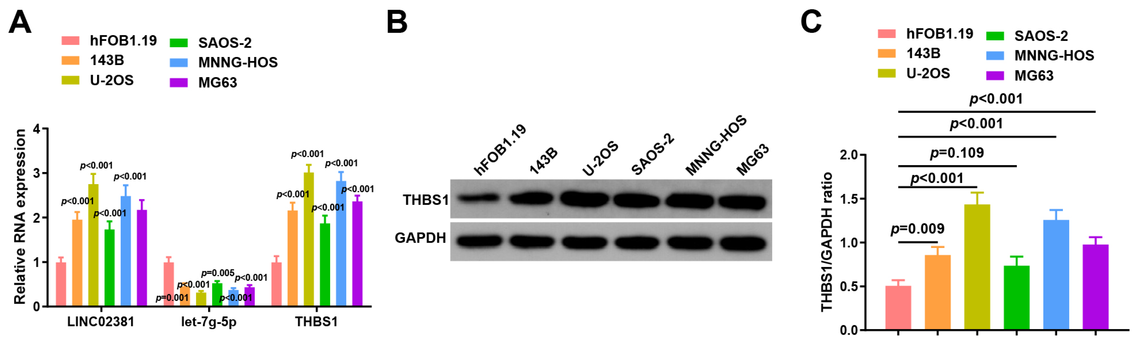 Cancers 17 03194 g002
