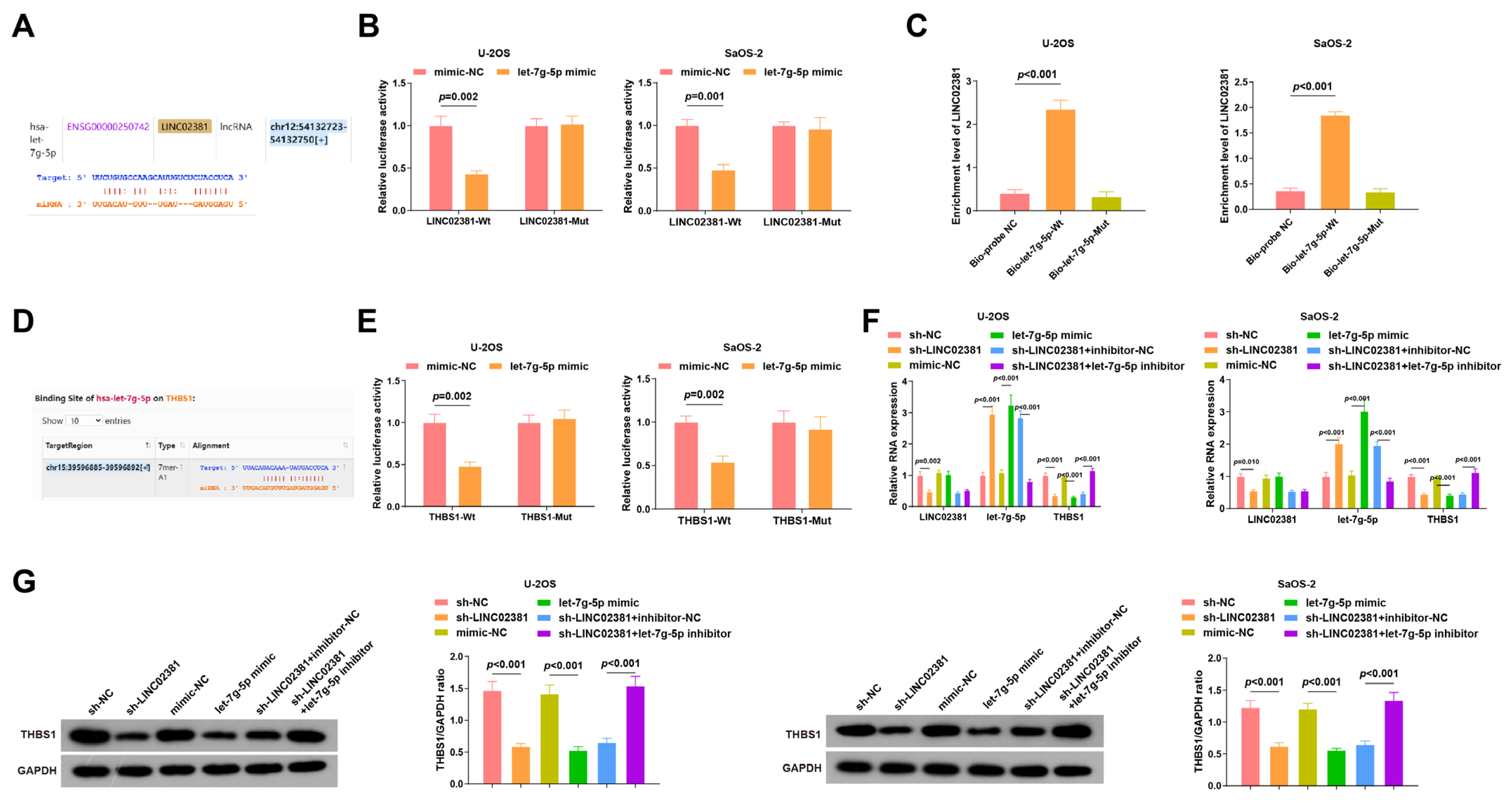 Cancers 17 03194 g003