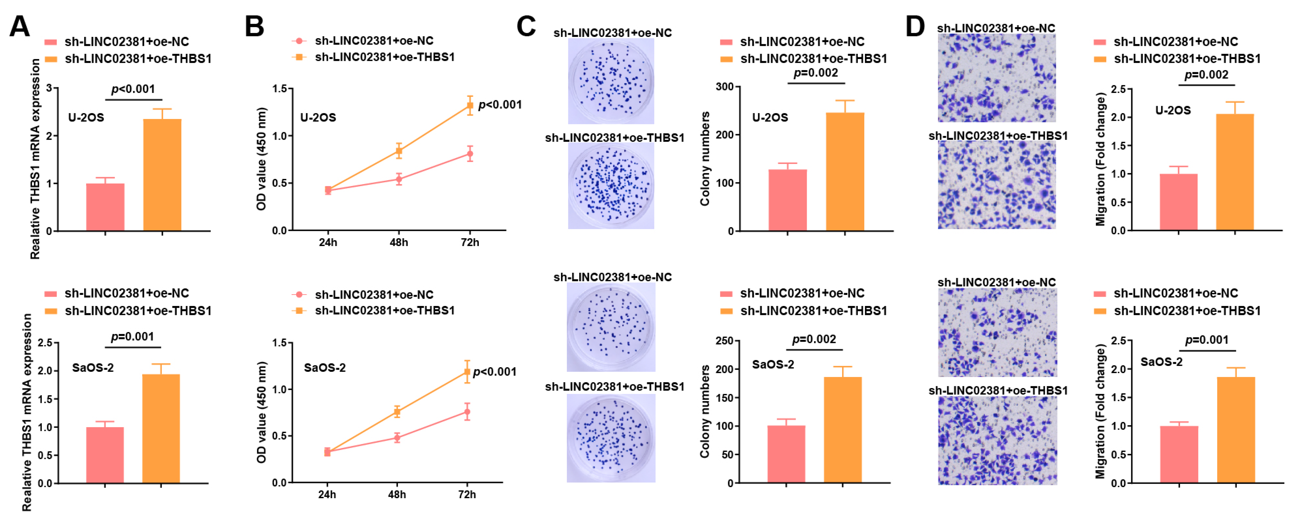 Cancers 17 03194 g005