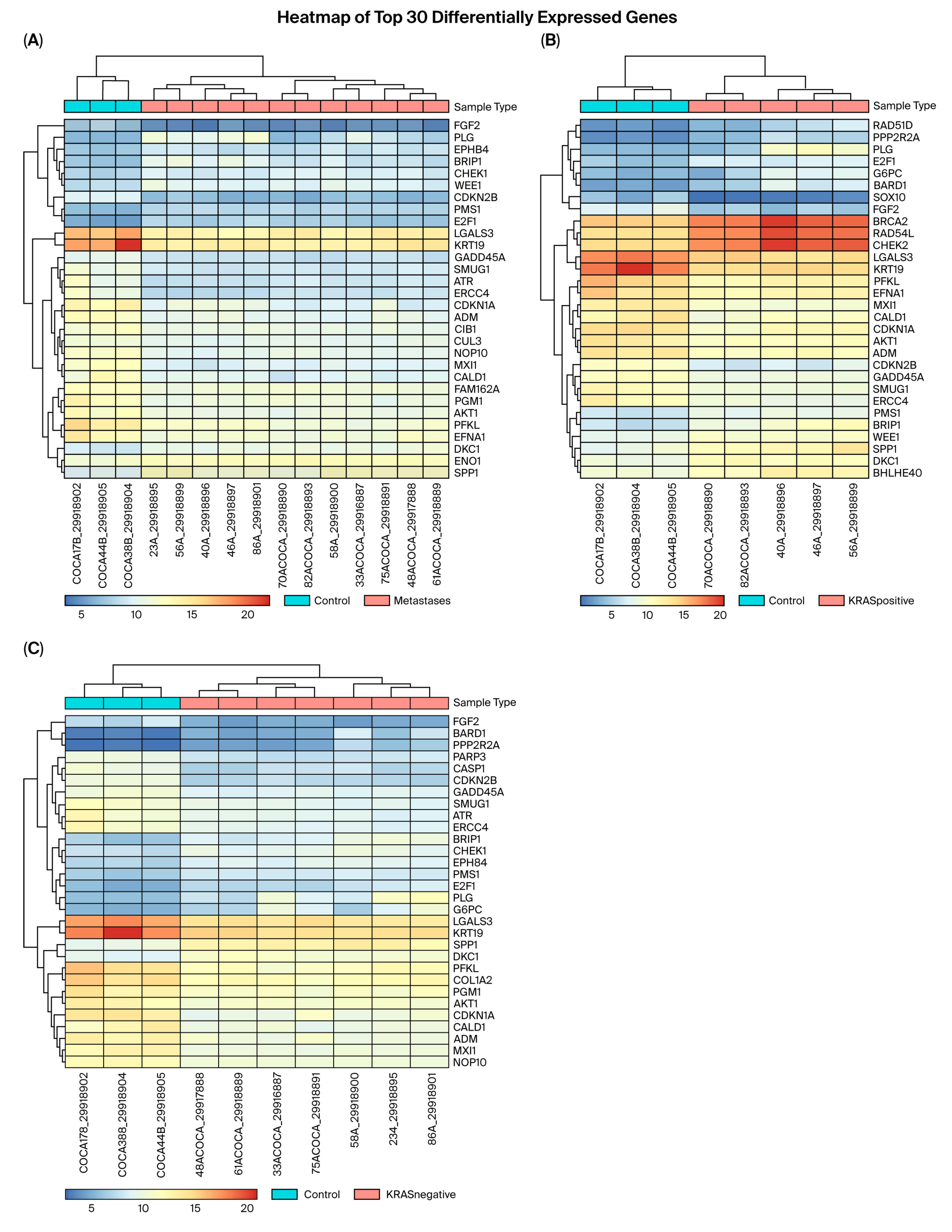 Cancers 17 03200 g001 Cancers 17 03200 g001