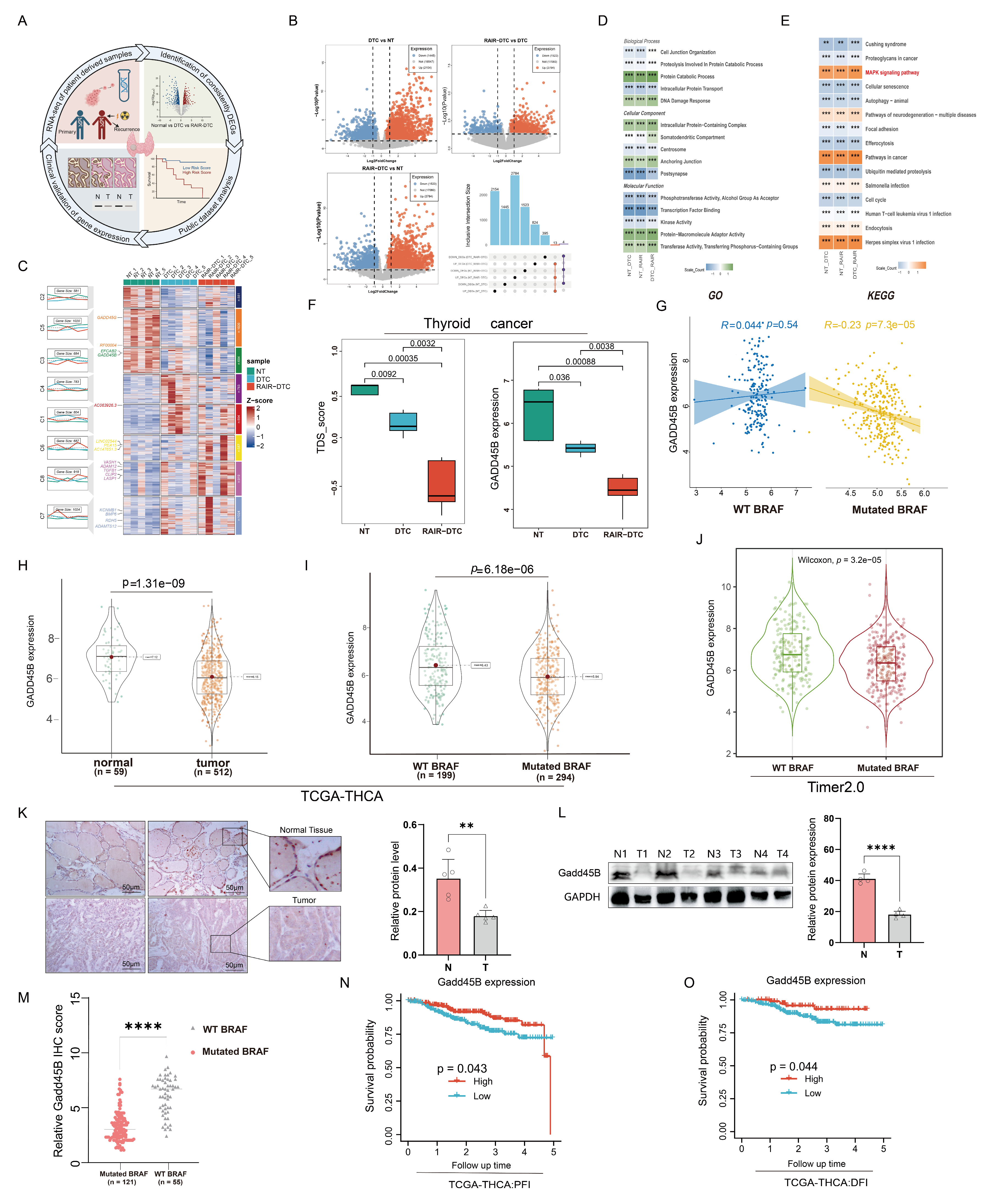 Cancers 17 03201 g001