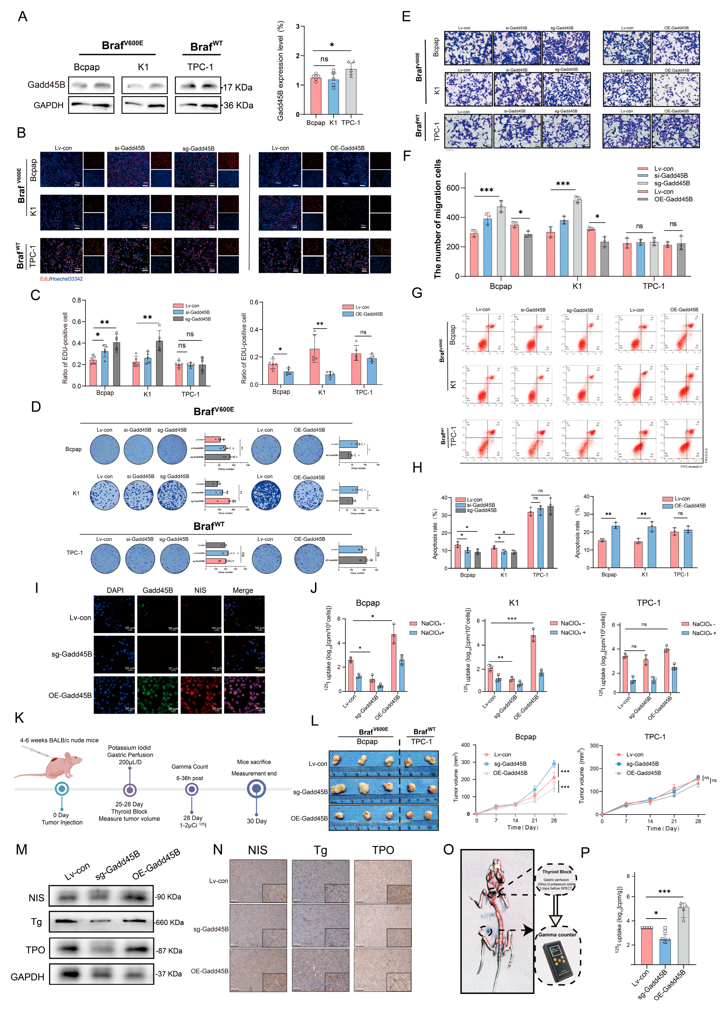Cancers 17 03201 g002