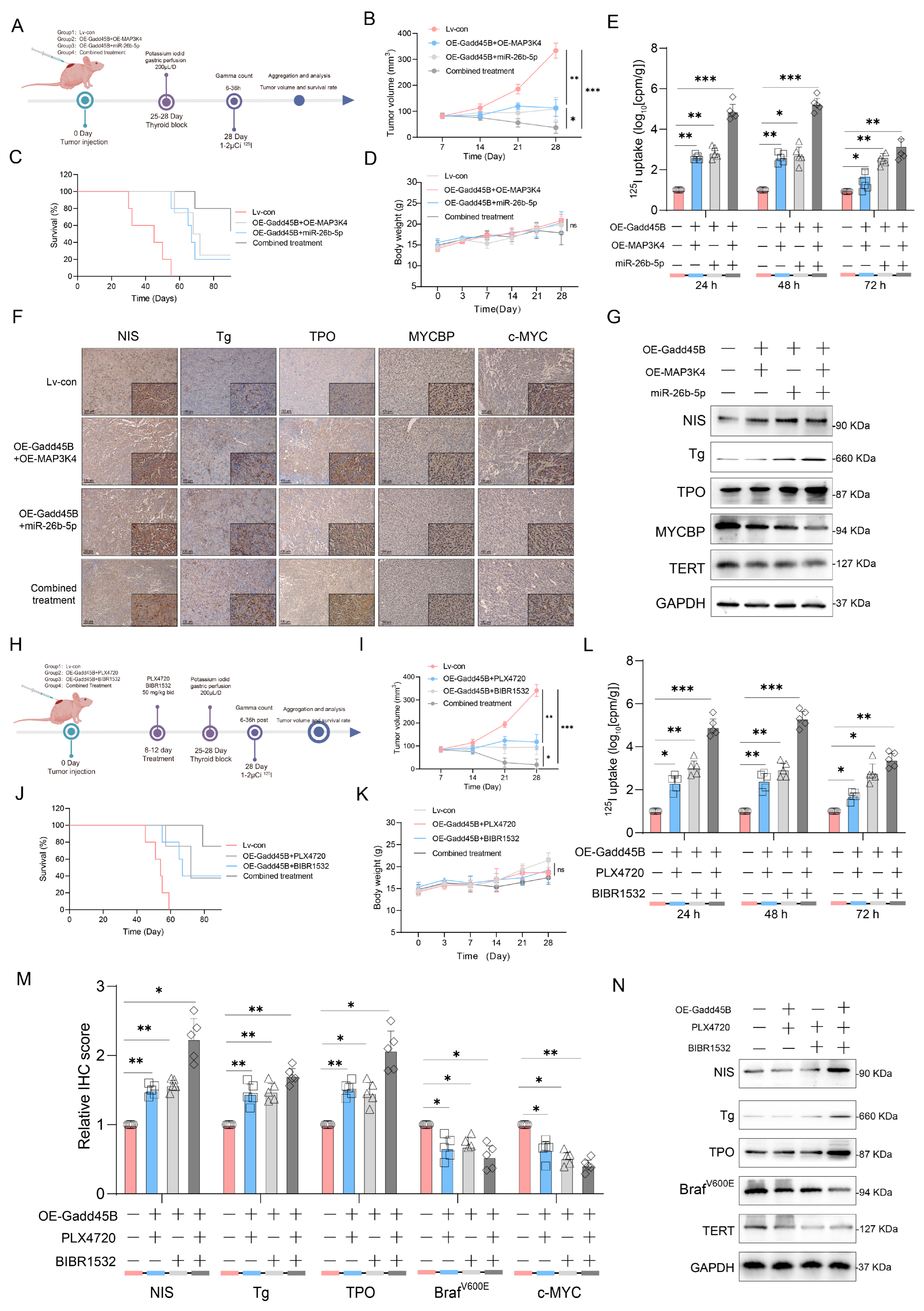 Cancers 17 03201 g006