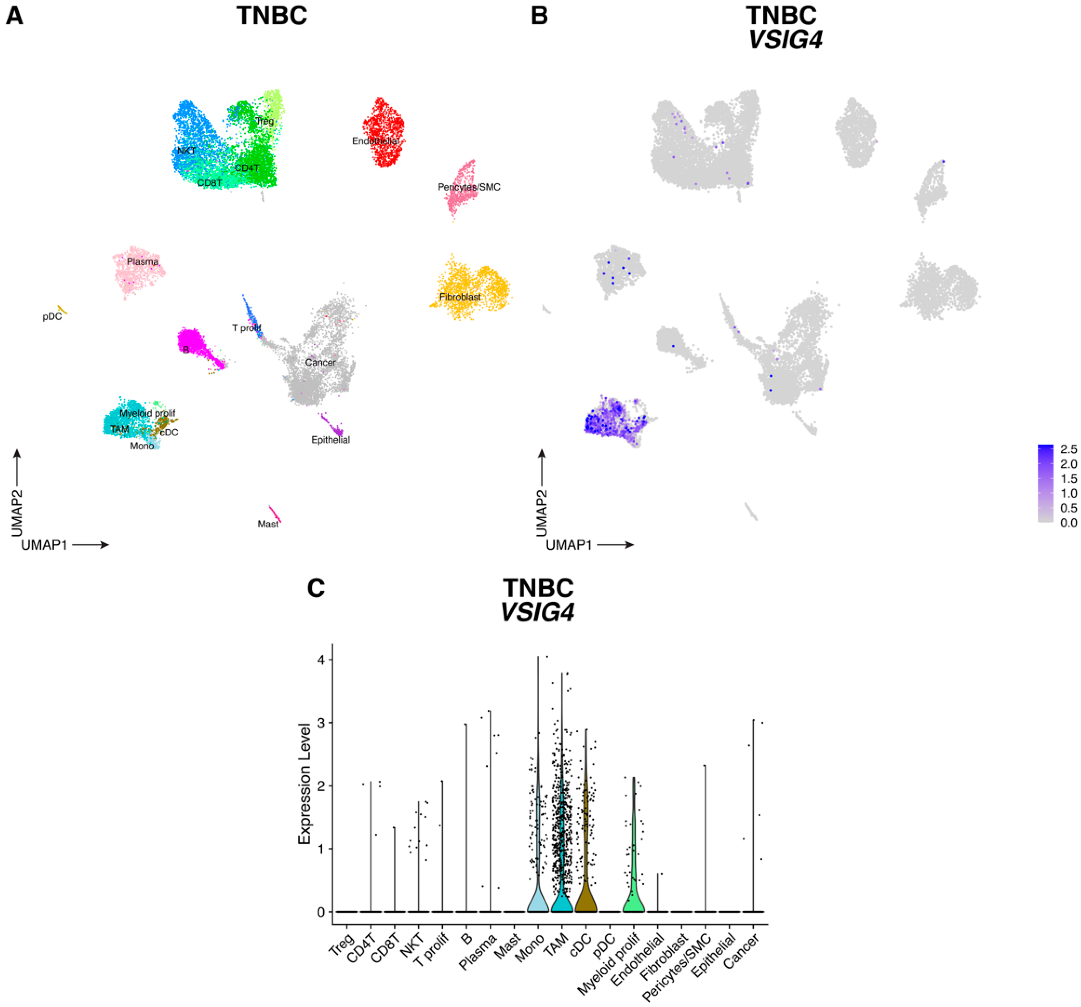 Cancers 17 03207 g002 Cancers 17 03207 g002