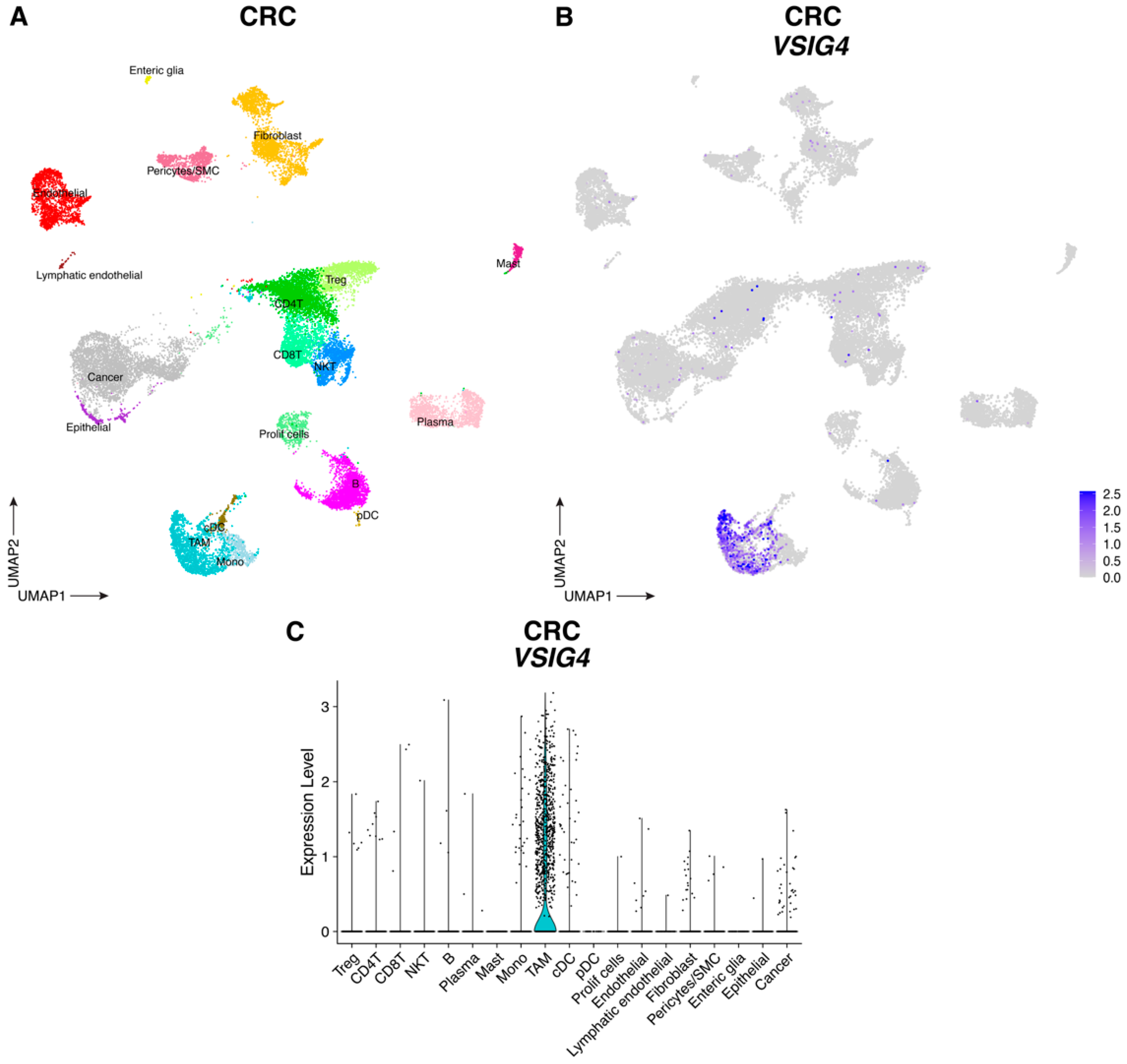 Cancers 17 03207 g003 Cancers 17 03207 g003
