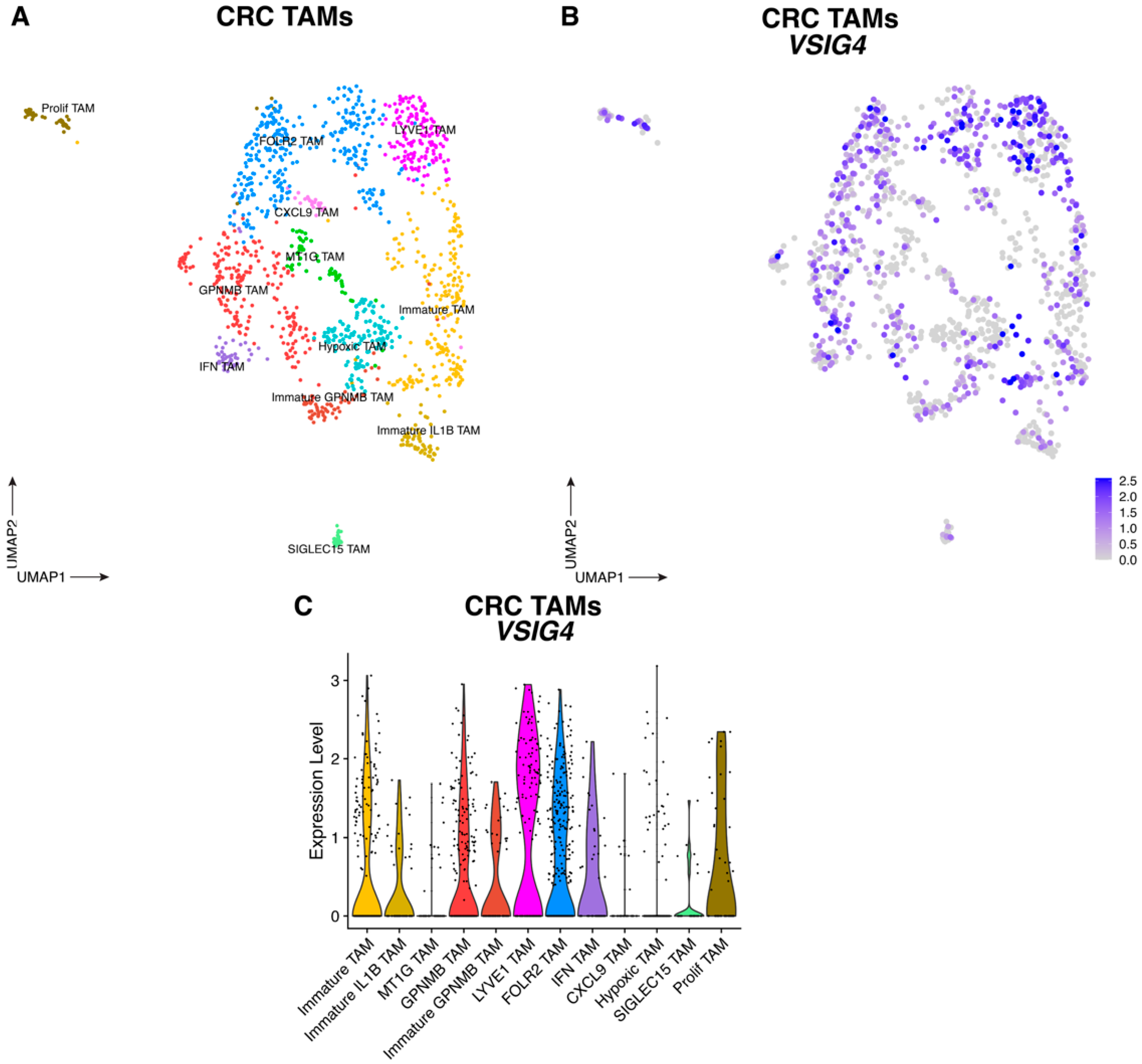 Cancers 17 03207 g005 Cancers 17 03207 g005