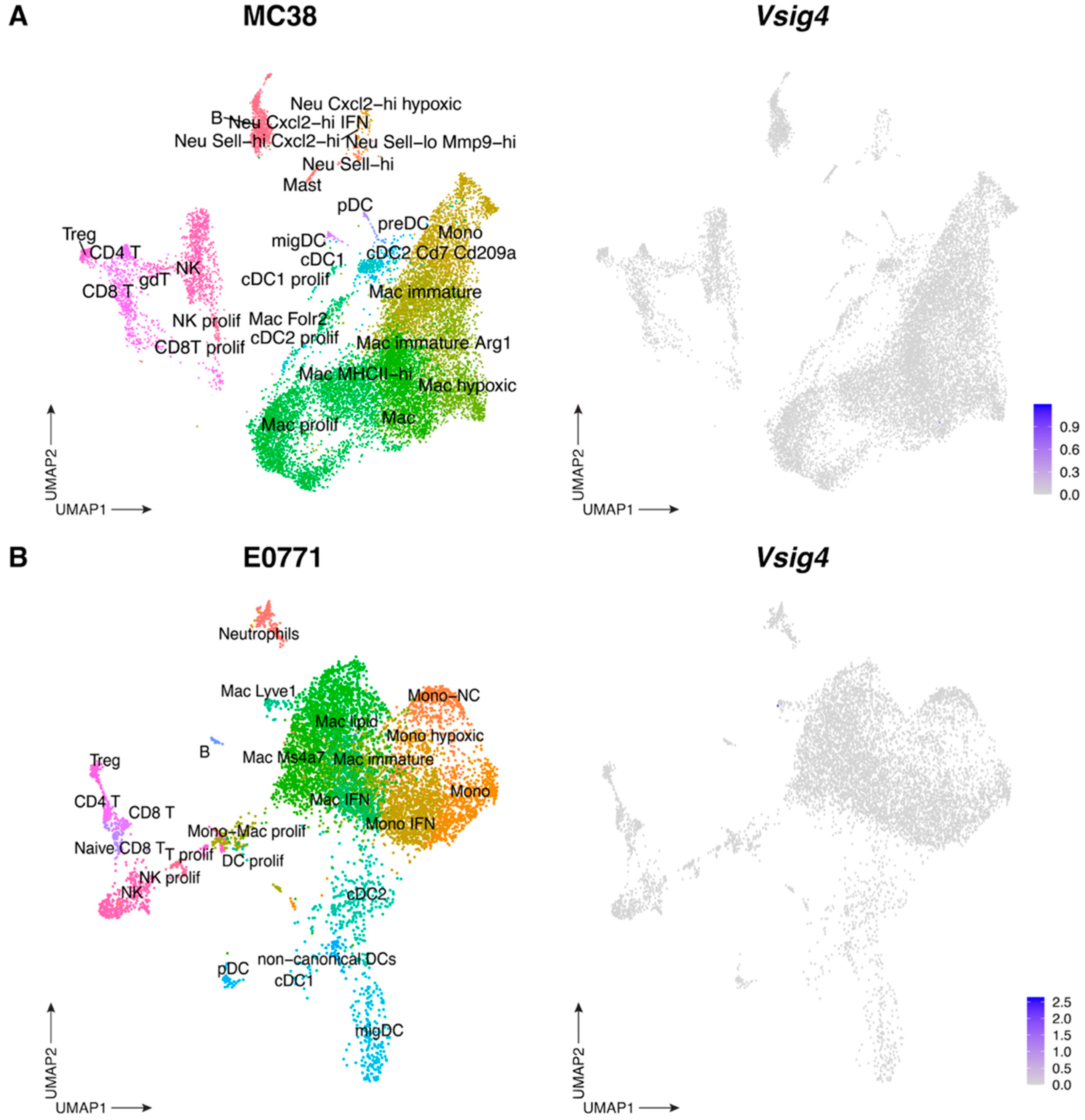 Cancers 17 03207 g006 Cancers 17 03207 g006