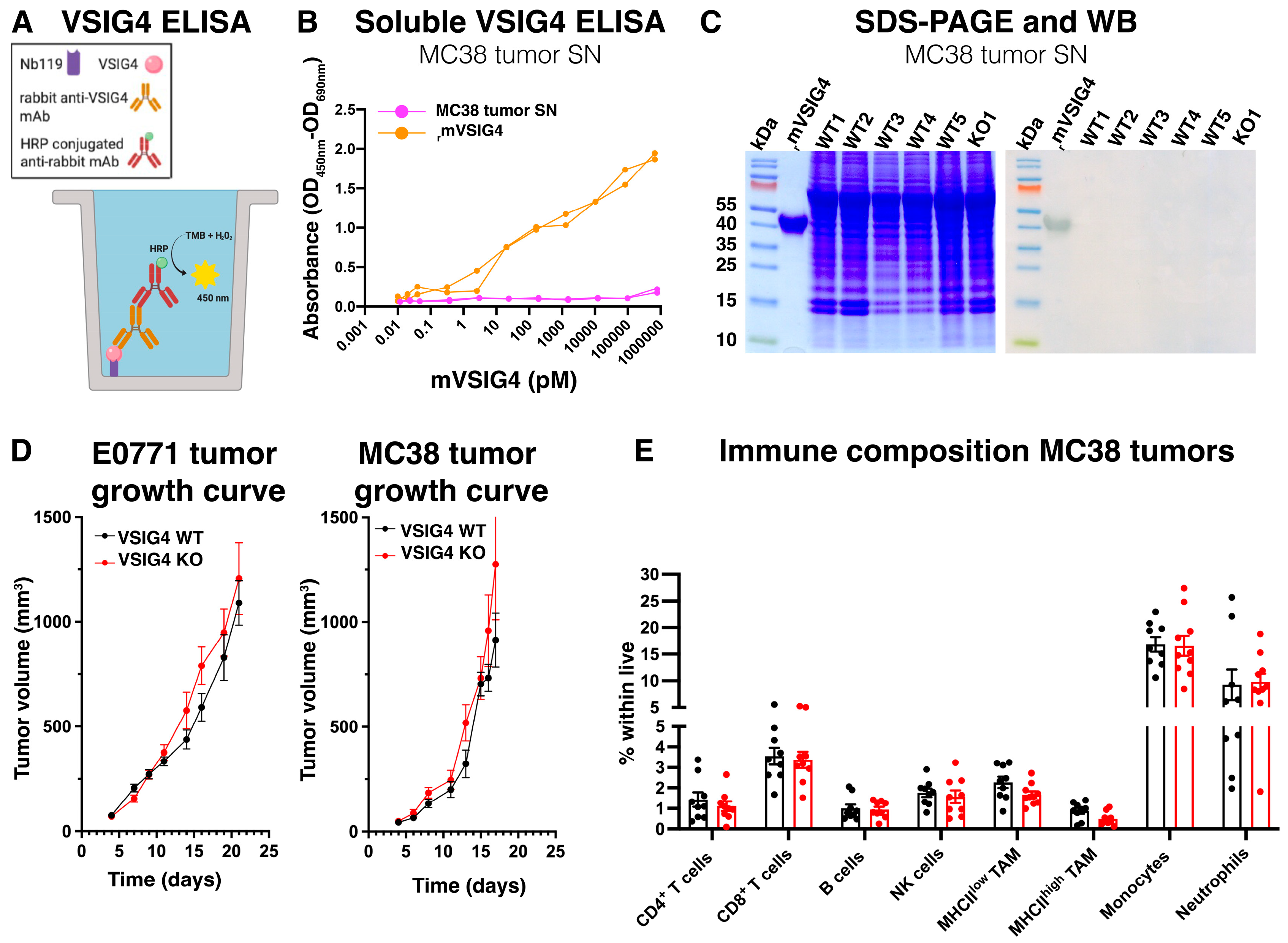 Cancers 17 03207 g007 Cancers 17 03207 g007