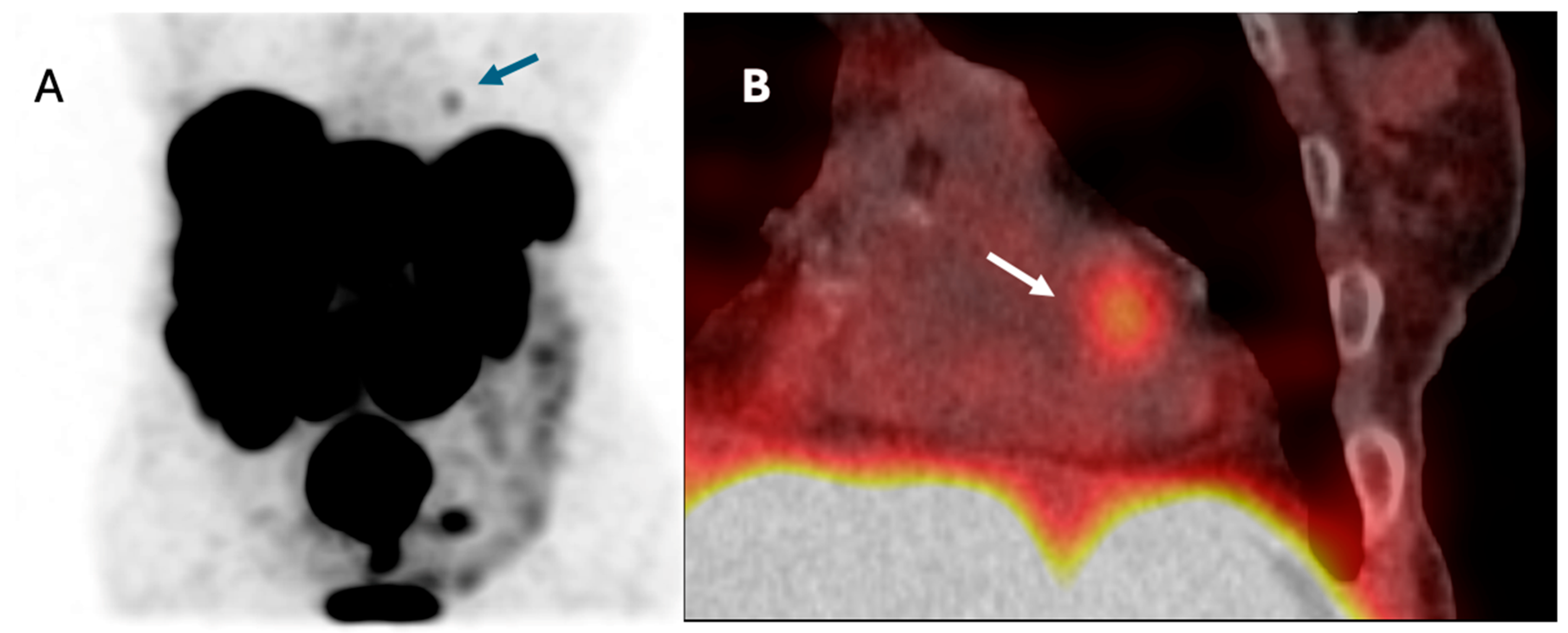 Cancers 17 03219 g004