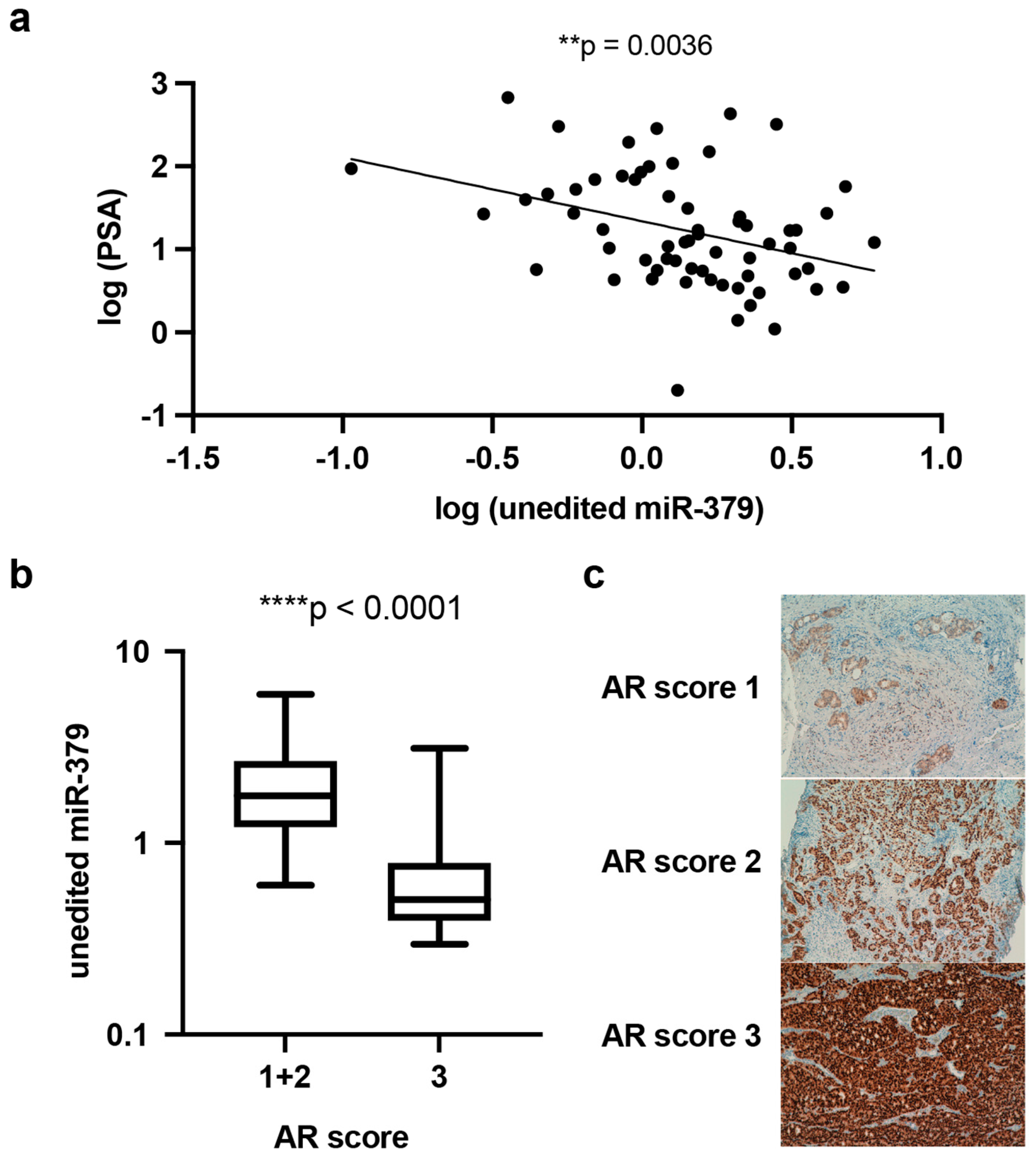 Cancers 17 03245 g007
