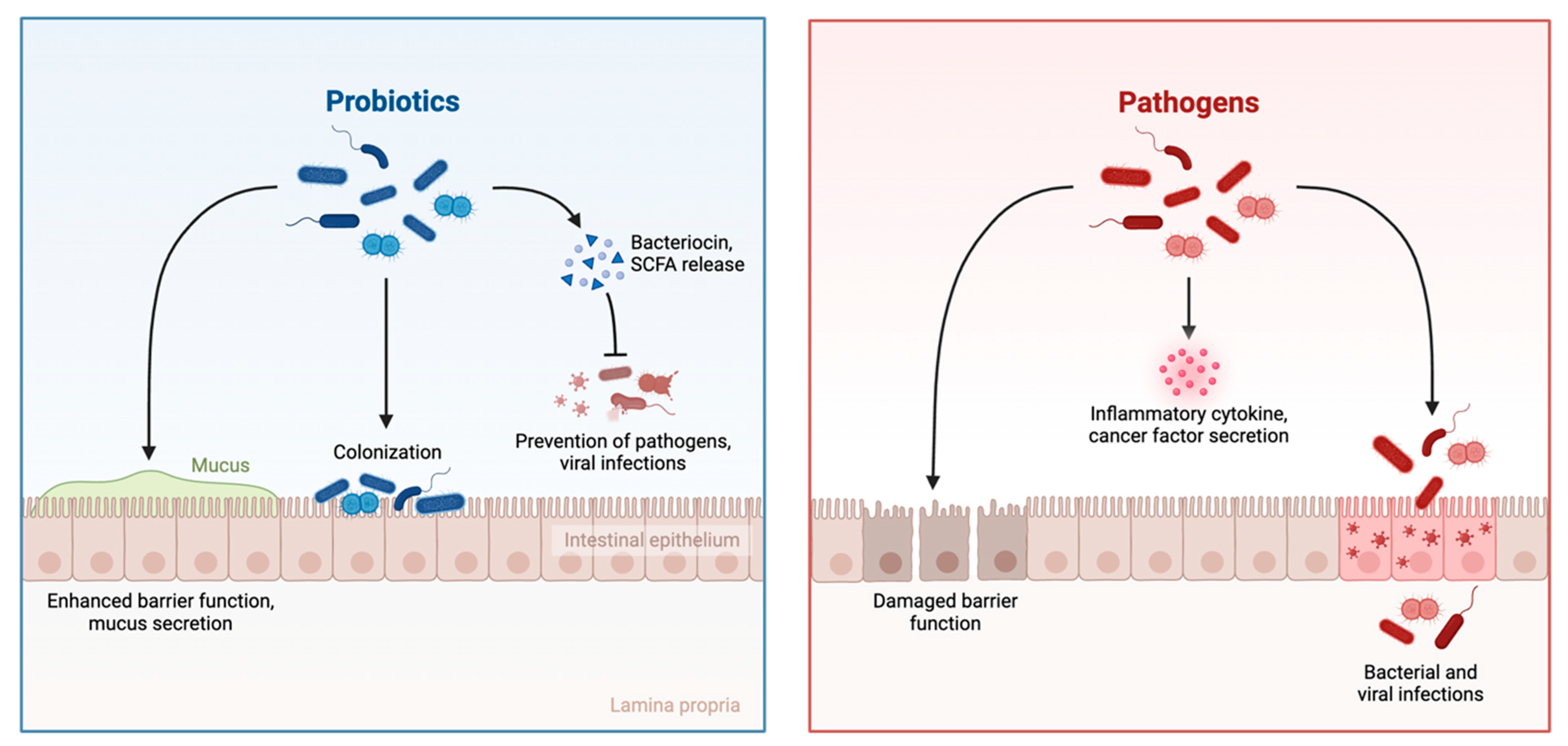 Cancers 17 03248 g002