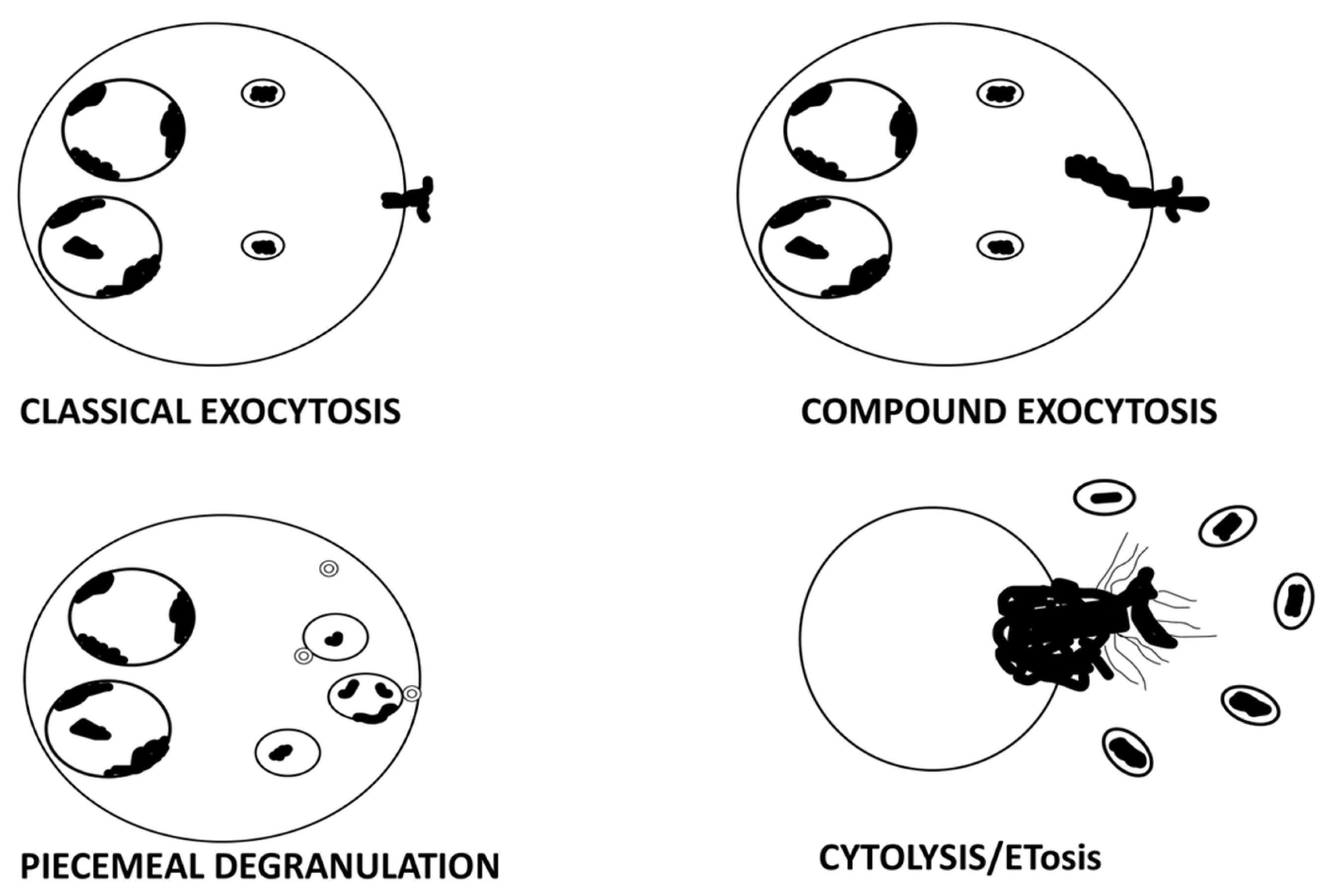 Cancers 17 03250 g001 Cancers 17 03250 g001