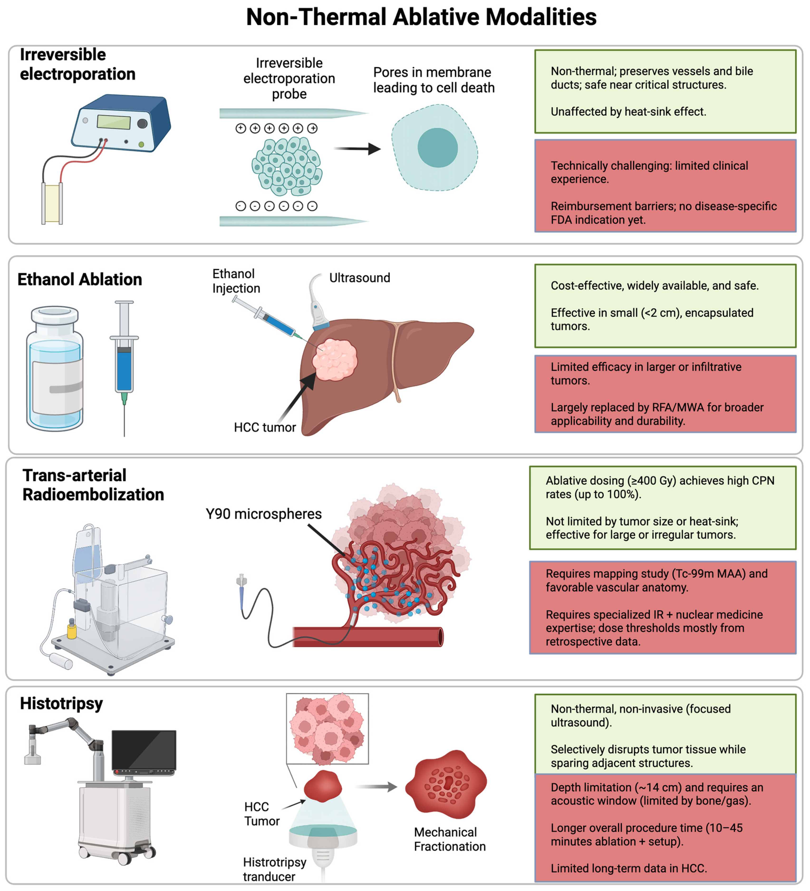Cancers 17 03251 g005