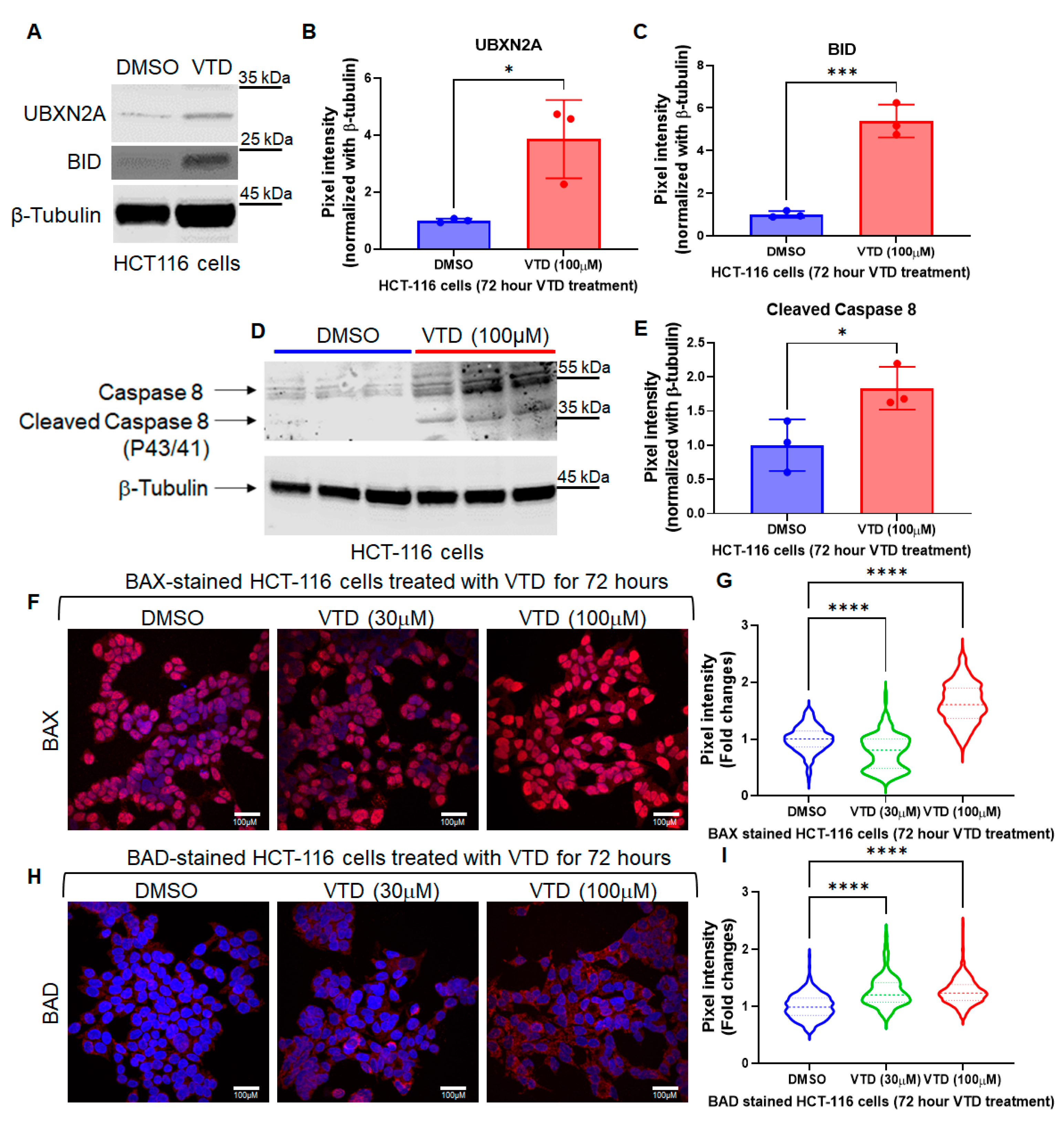 Cancers 17 03253 g001 Cancers 17 03253 g001