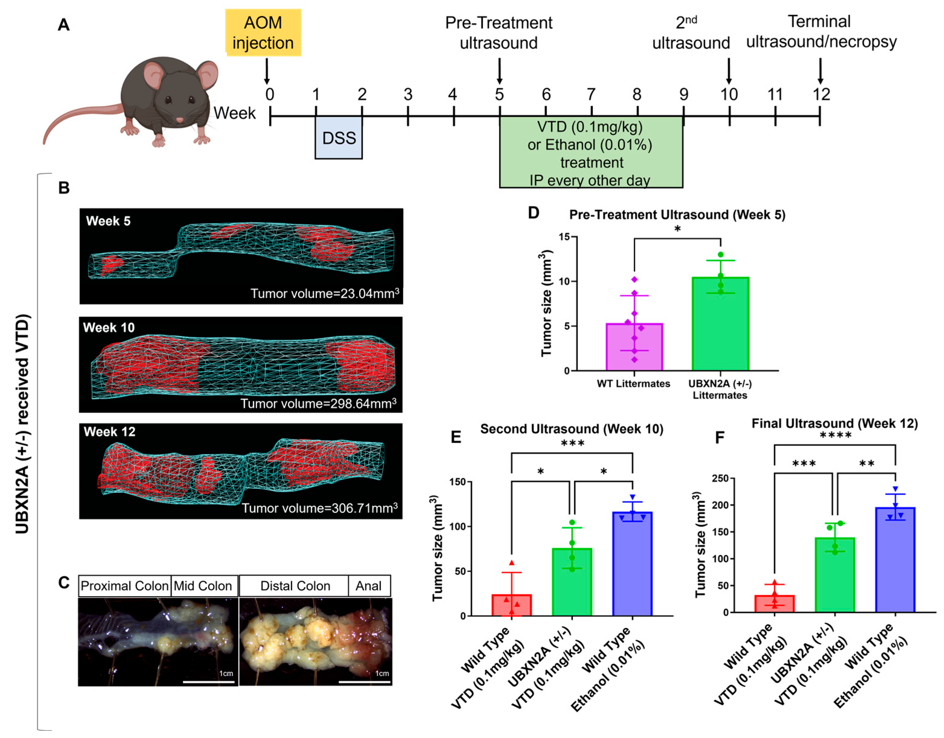 Cancers 17 03253 g002 Cancers 17 03253 g002