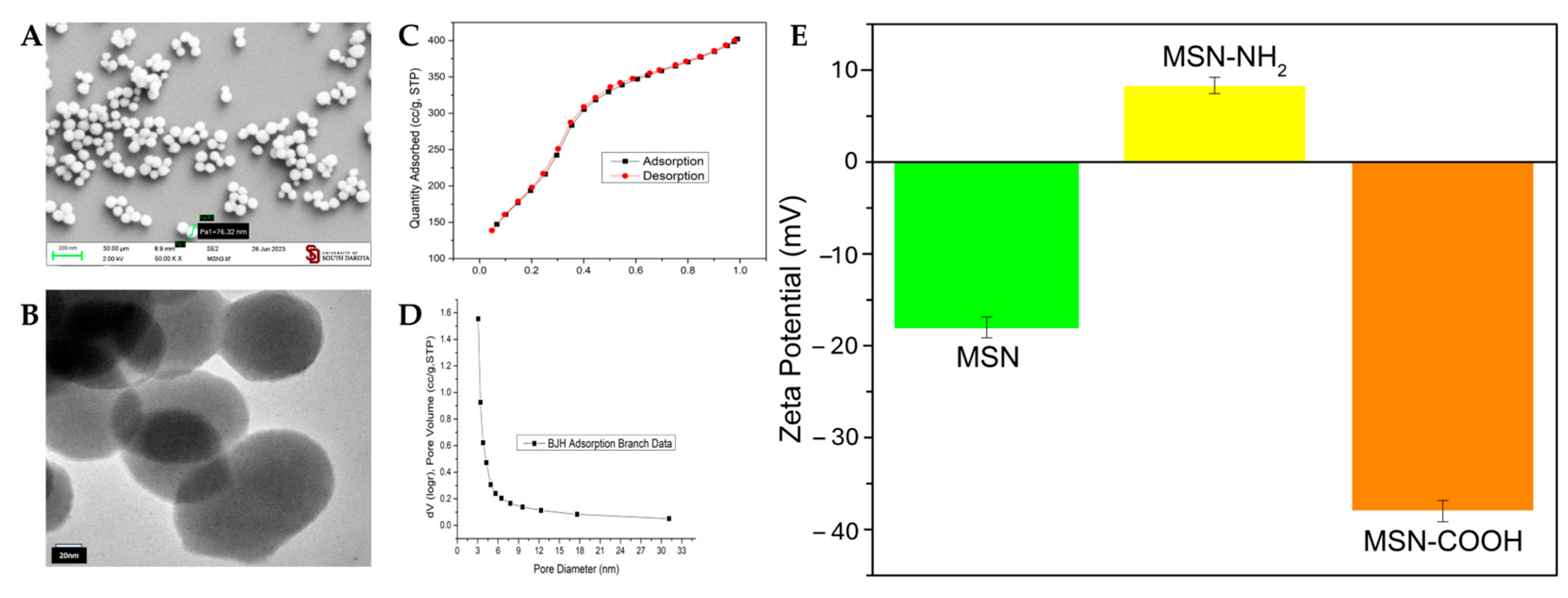 Cancers 17 03253 g003 Cancers 17 03253 g003