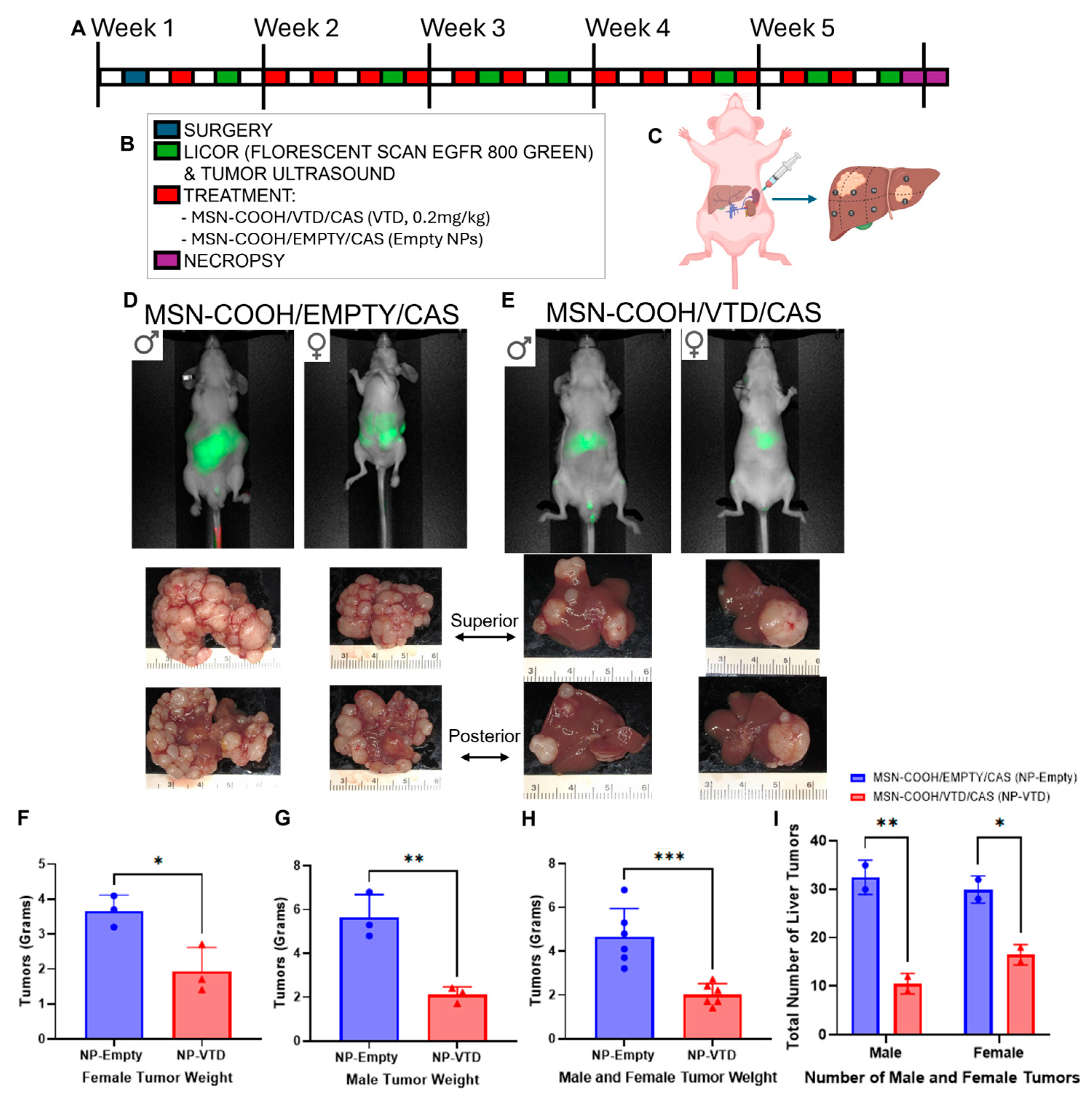 Cancers 17 03253 g006 Cancers 17 03253 g006