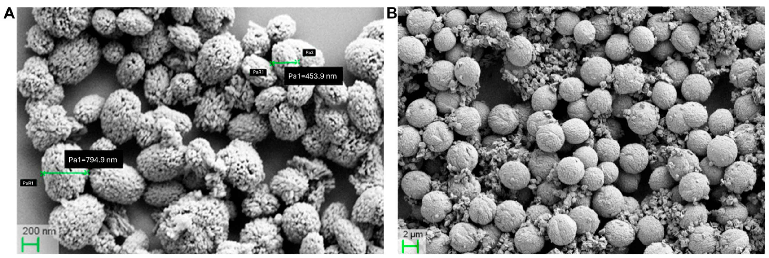 Cancers 17 03253 g007 Cancers 17 03253 g007