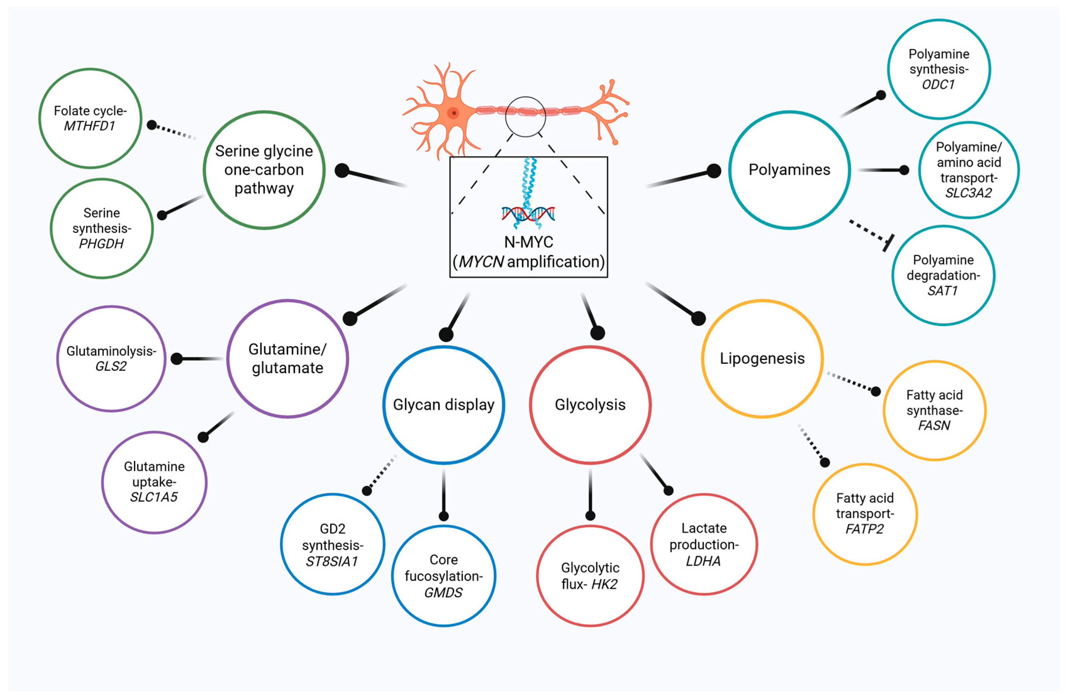 Cancers 17 03256 g001 Cancers 17 03256 g001