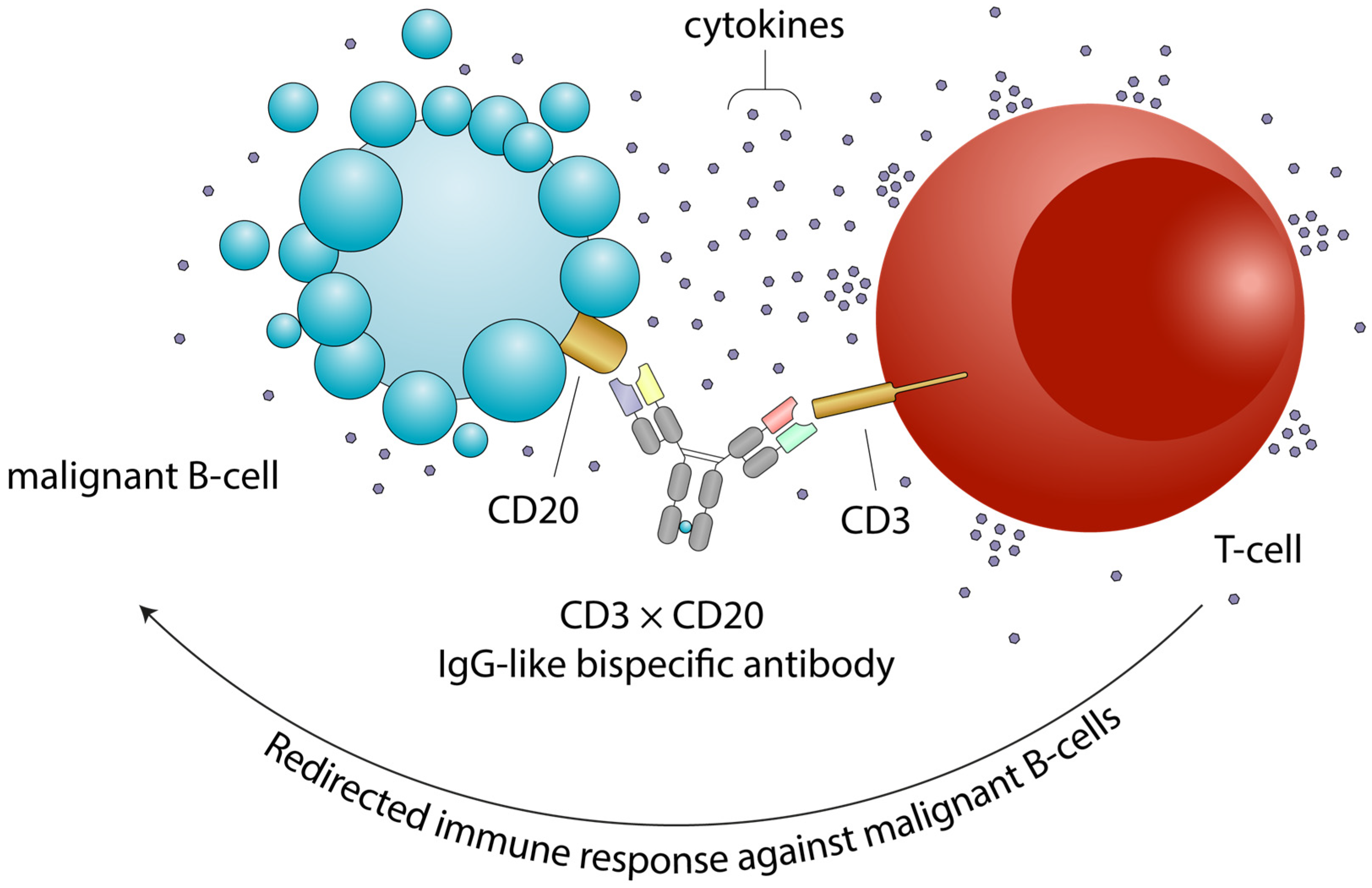 Cancers 17 03258 g001