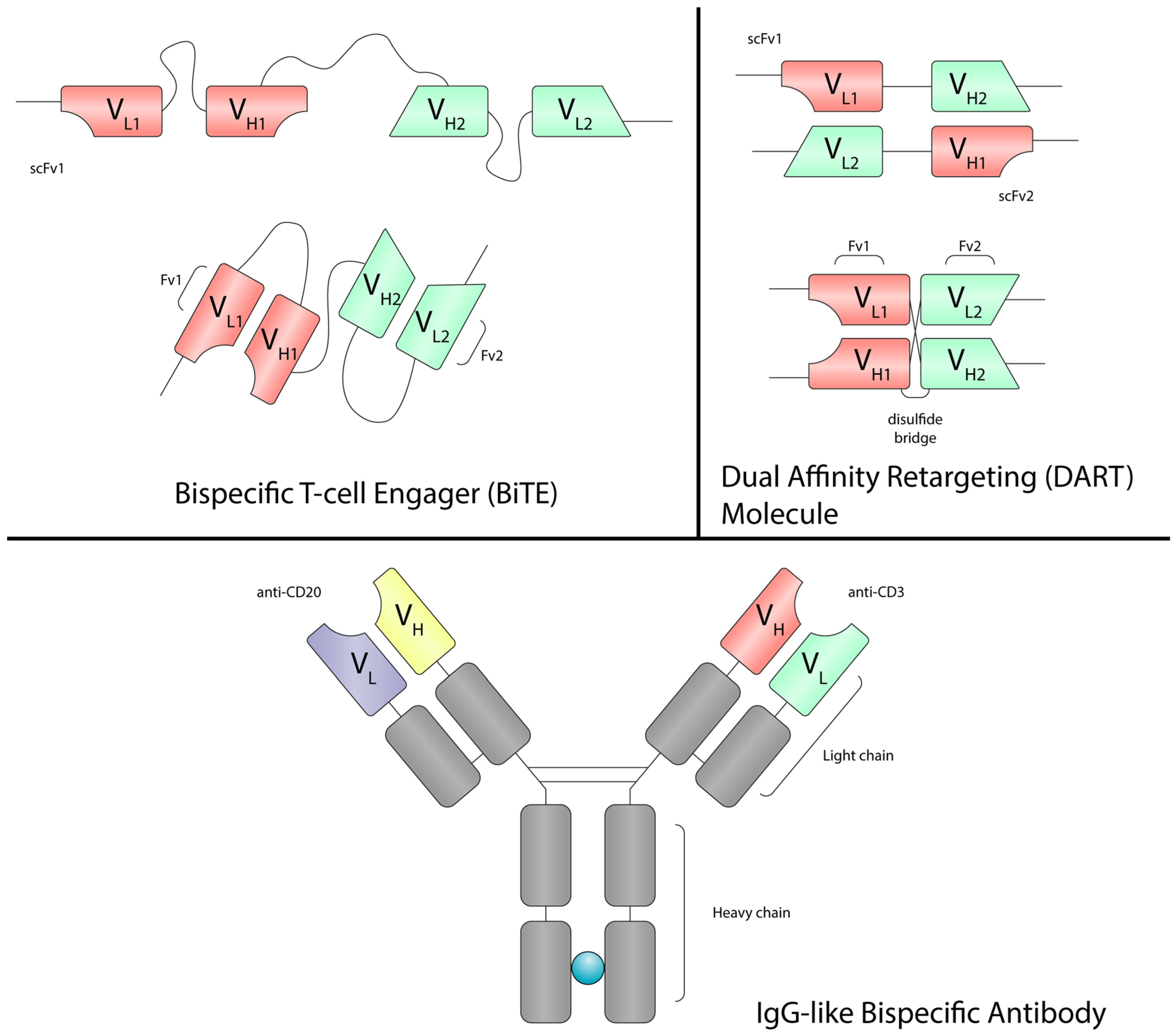 Cancers 17 03258 g002
