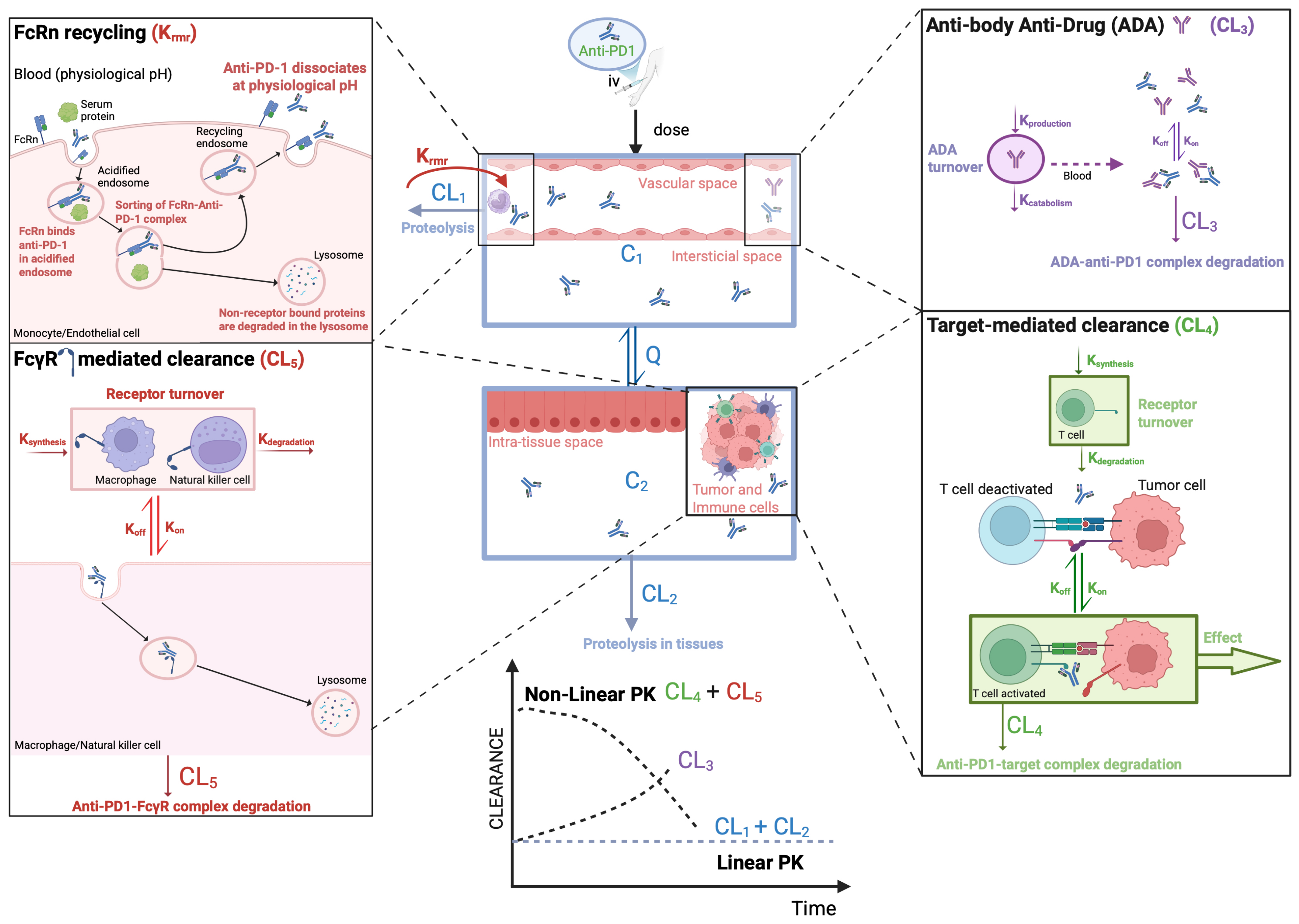 Cancers 17 03262 g001 Cancers 17 03262 g001