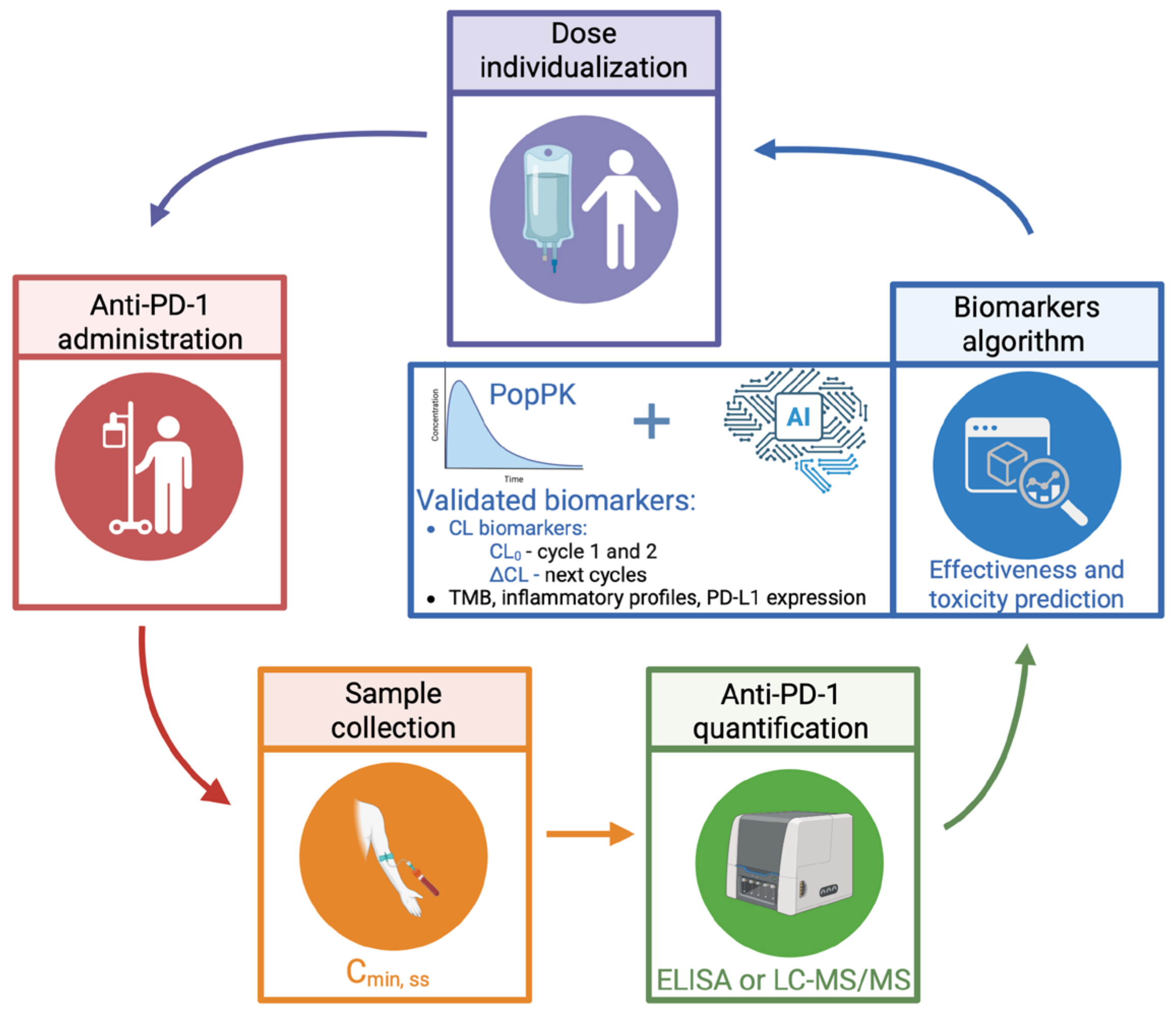Cancers 17 03262 g003 Cancers 17 03262 g003