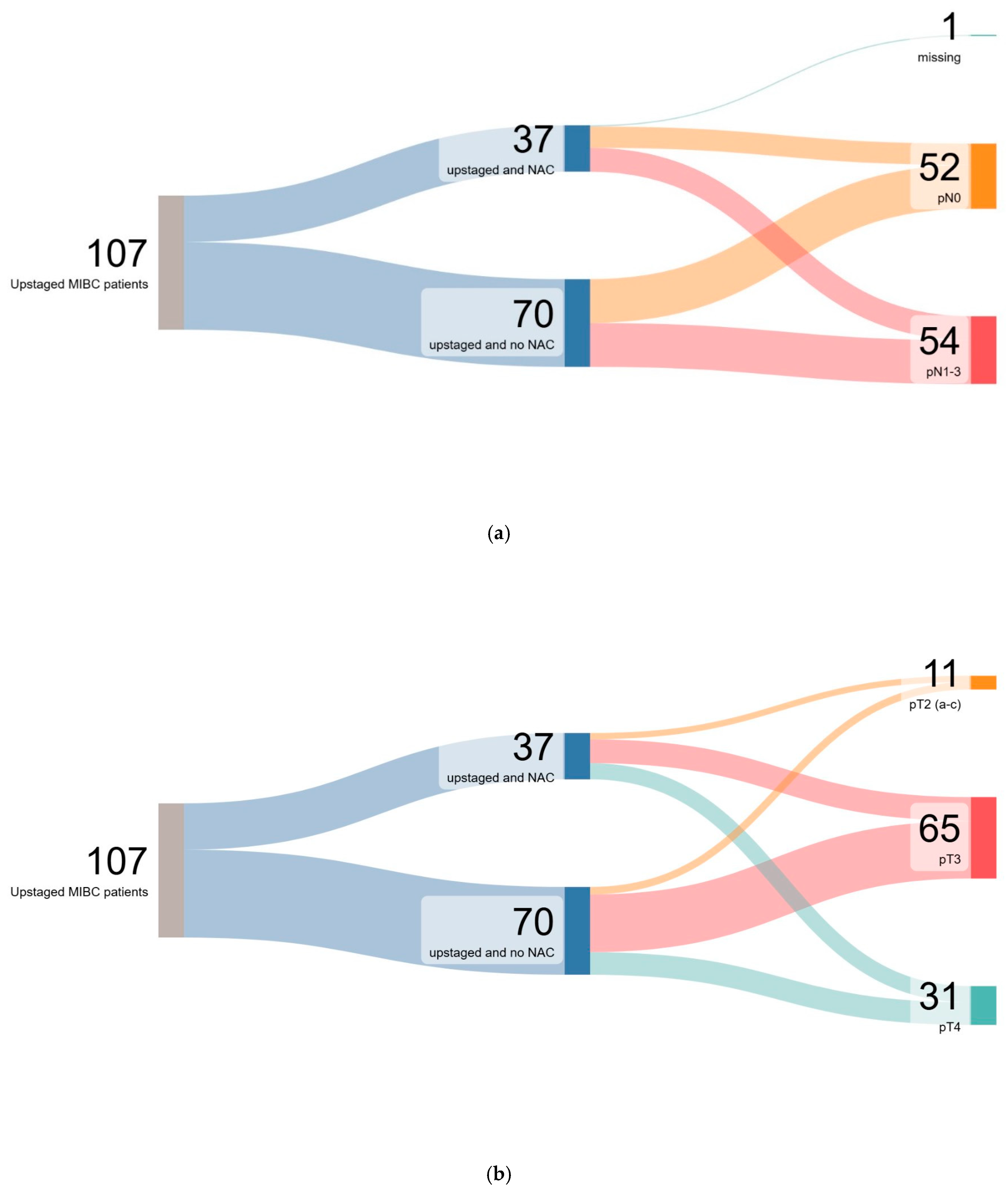 Cancers 17 03265 g001