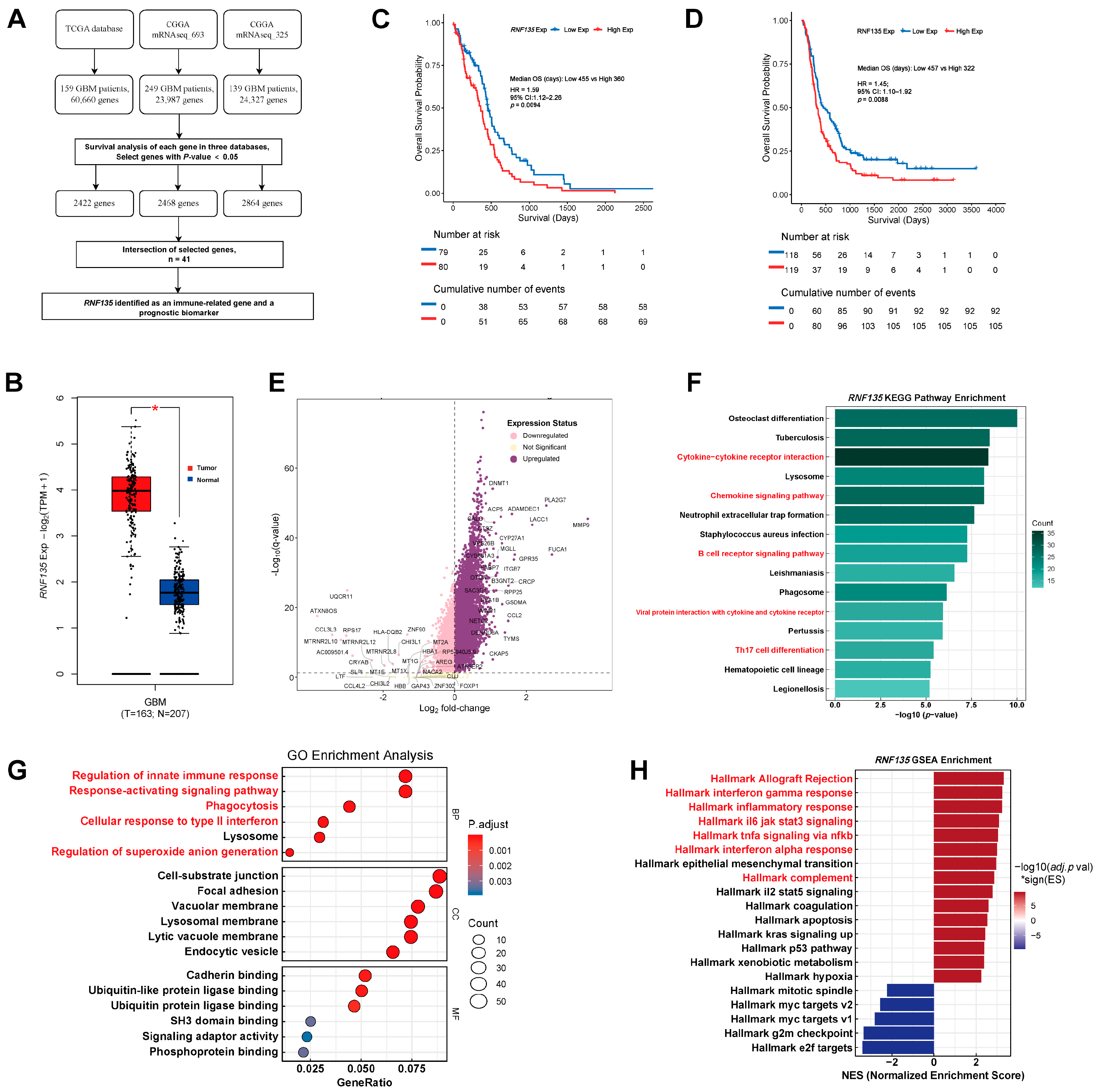 Cancers 17 03271 g001