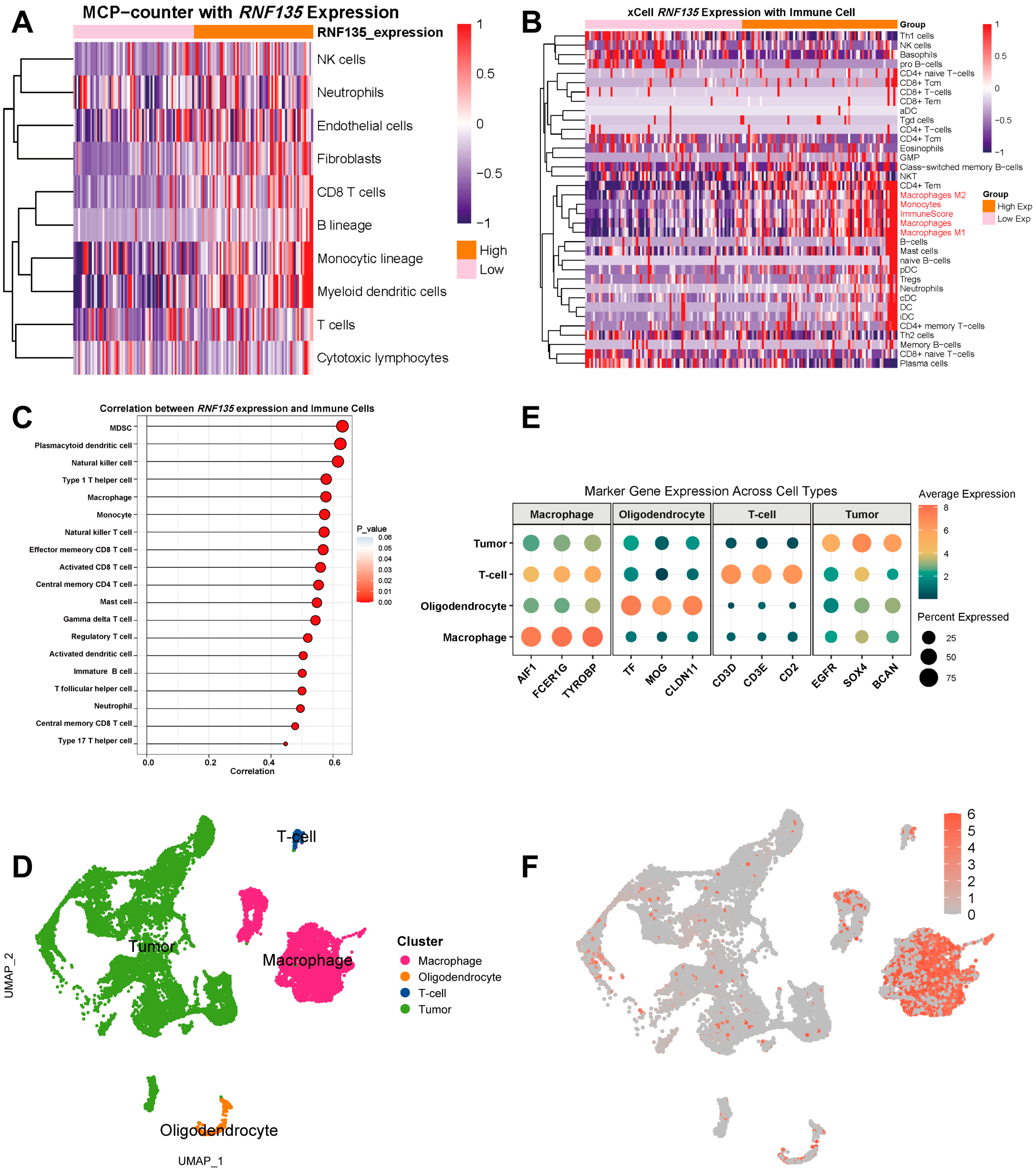 Cancers 17 03271 g002