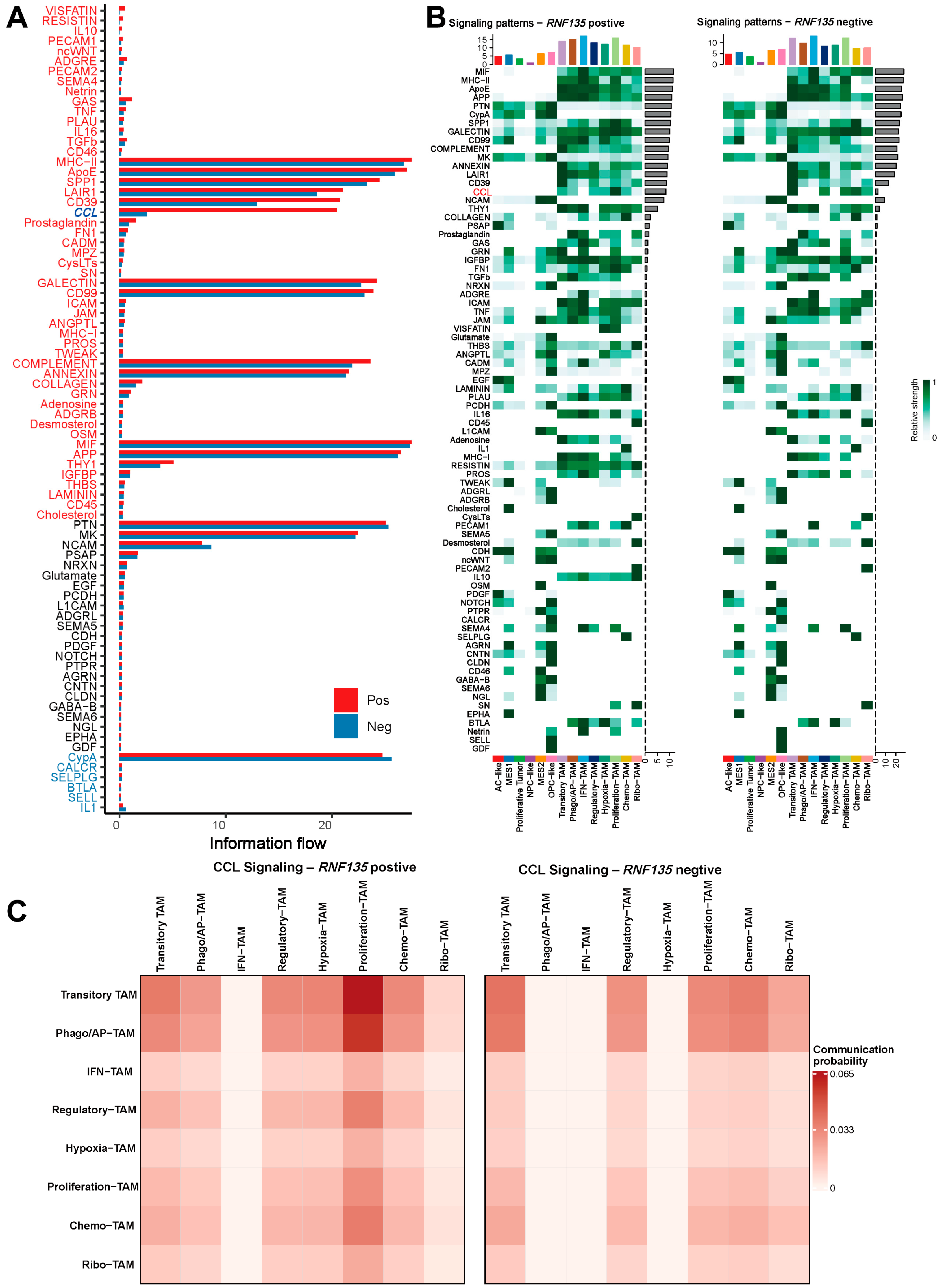 Cancers 17 03271 g004