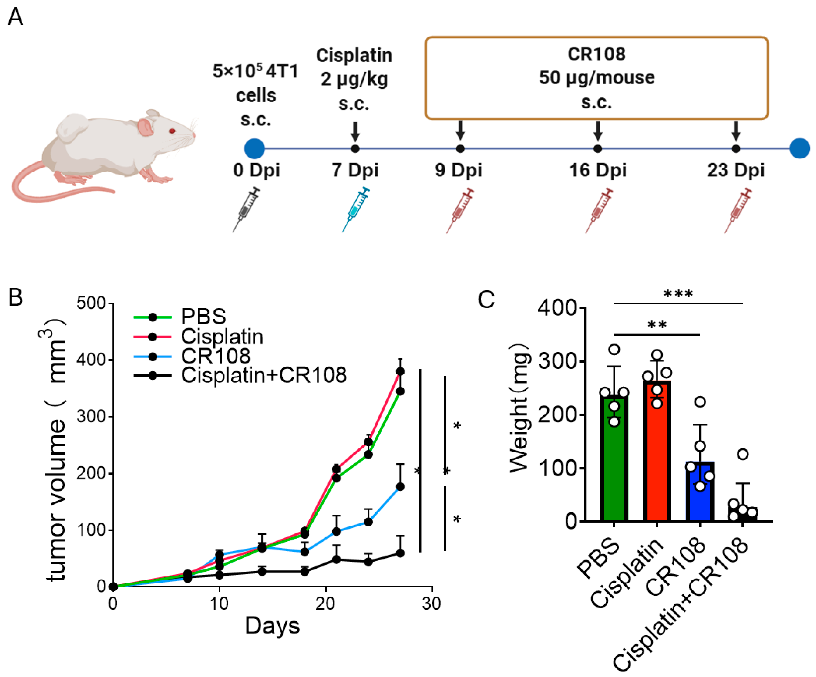 Cancers 17 03277 g001