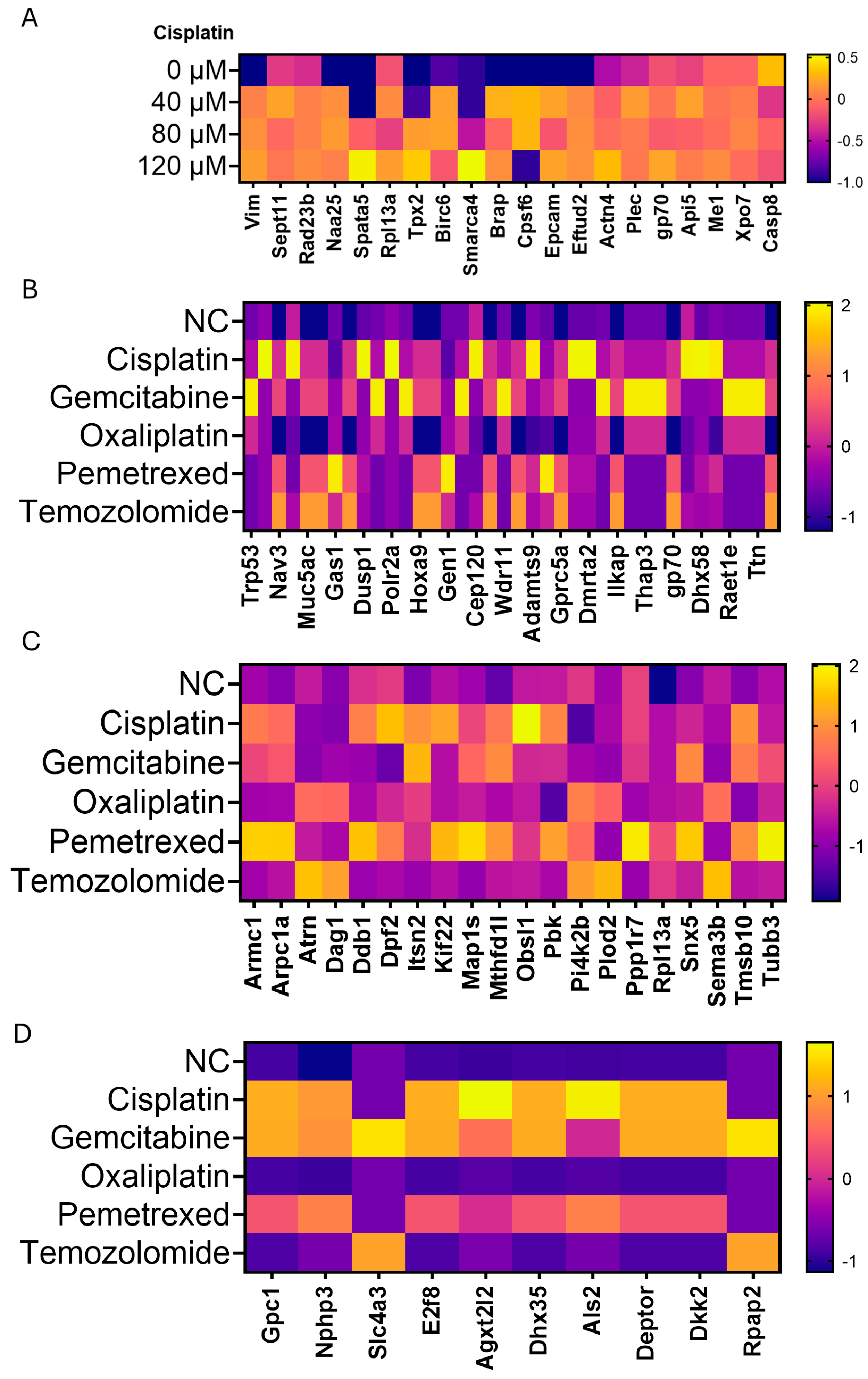 Cancers 17 03277 g003