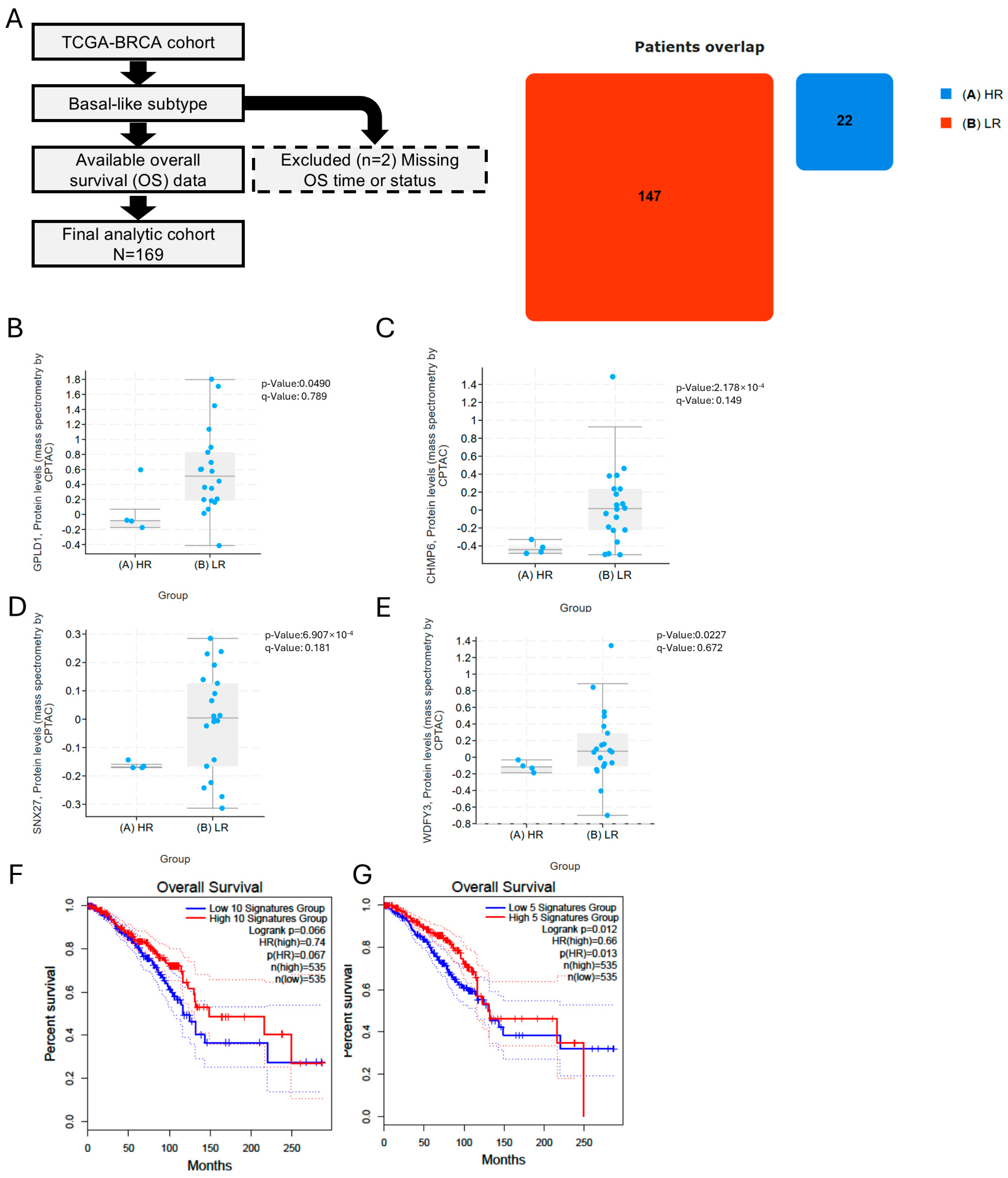 Cancers 17 03277 g008