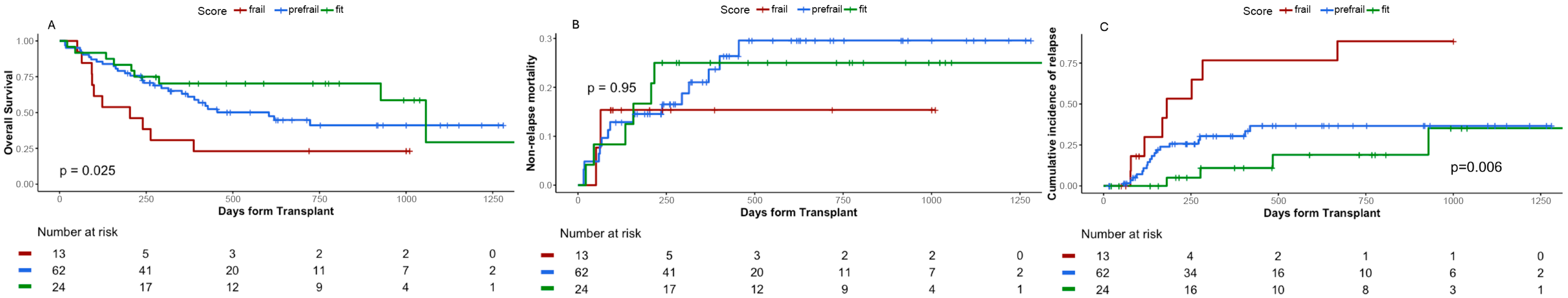 Cancers 17 03278 g003