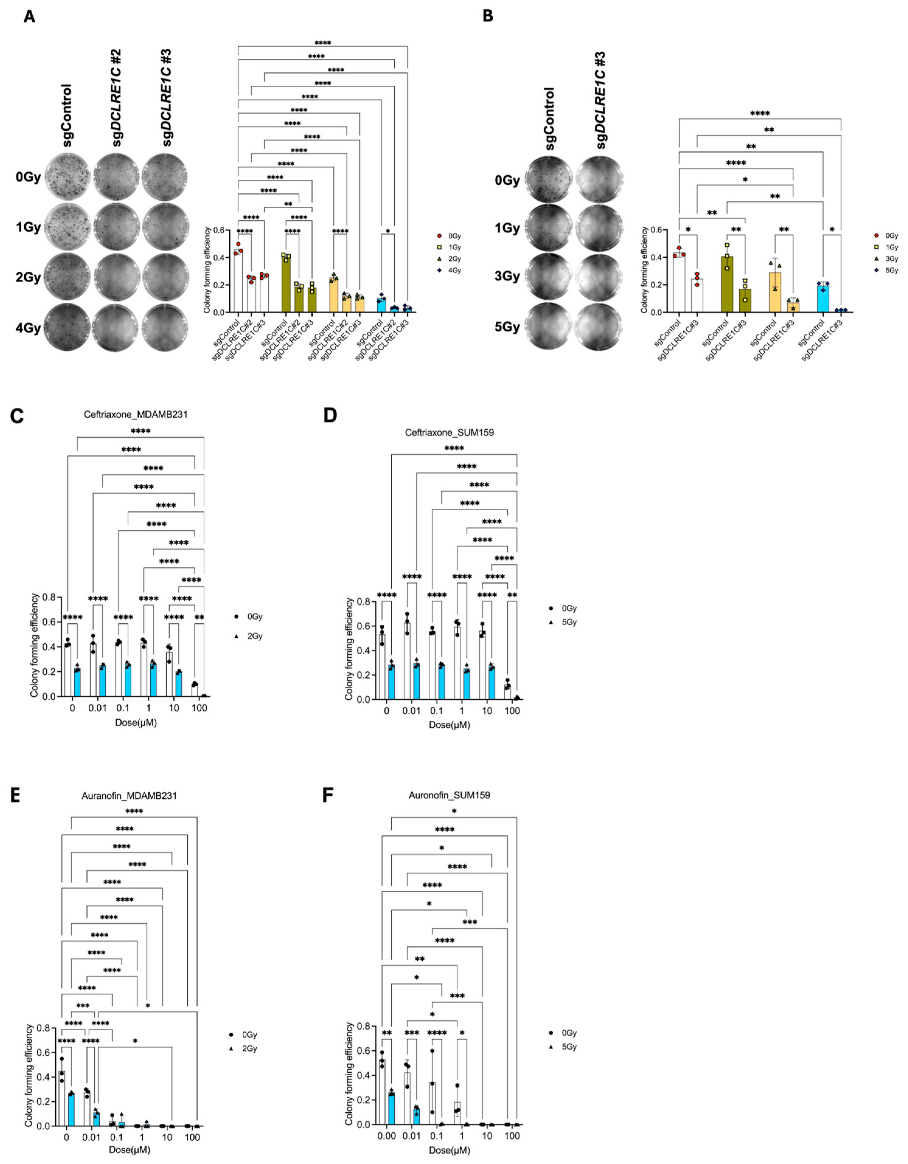 Cancers 17 03279 g002 Cancers 17 03279 g002
