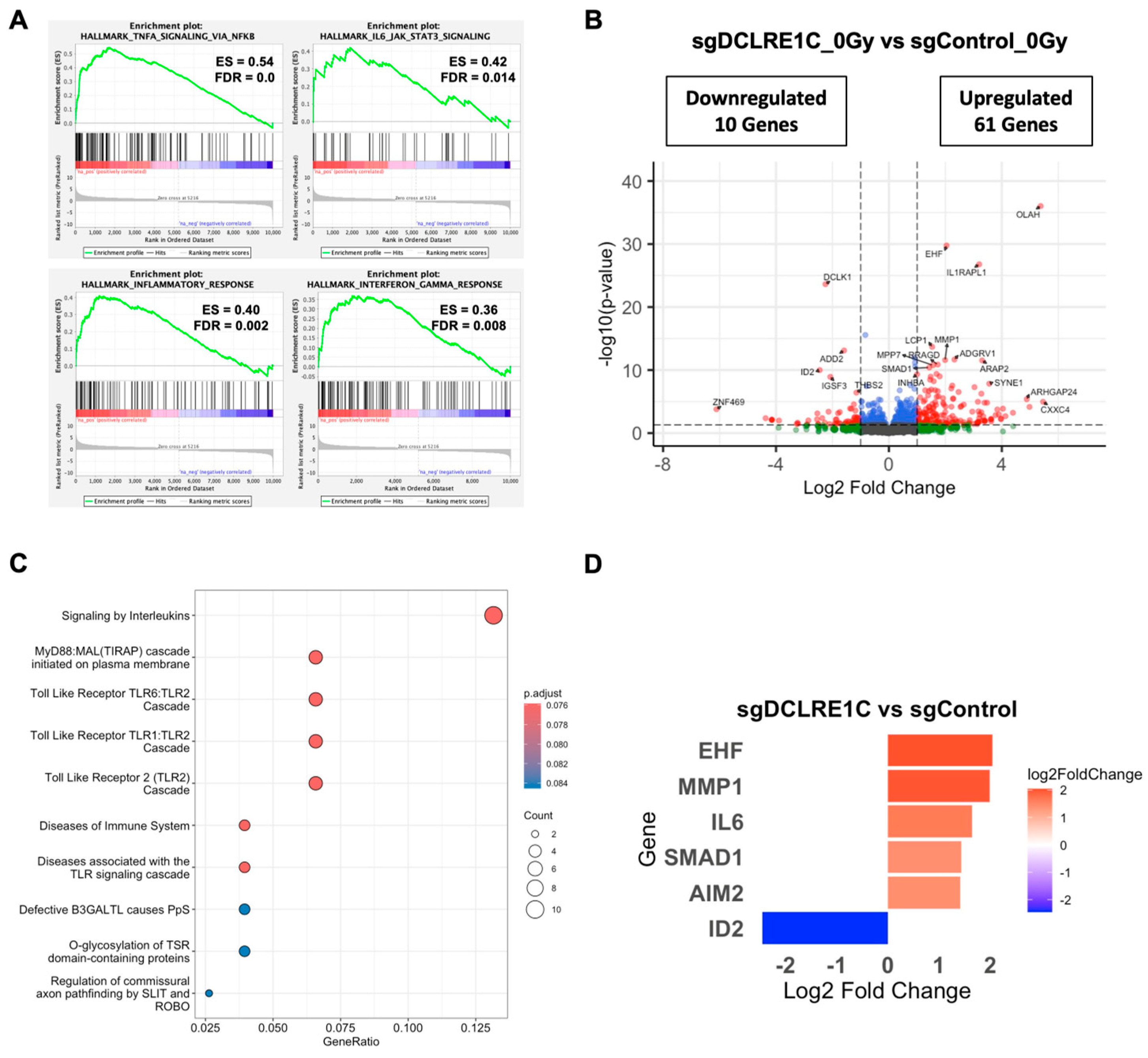 Cancers 17 03279 g004 Cancers 17 03279 g004