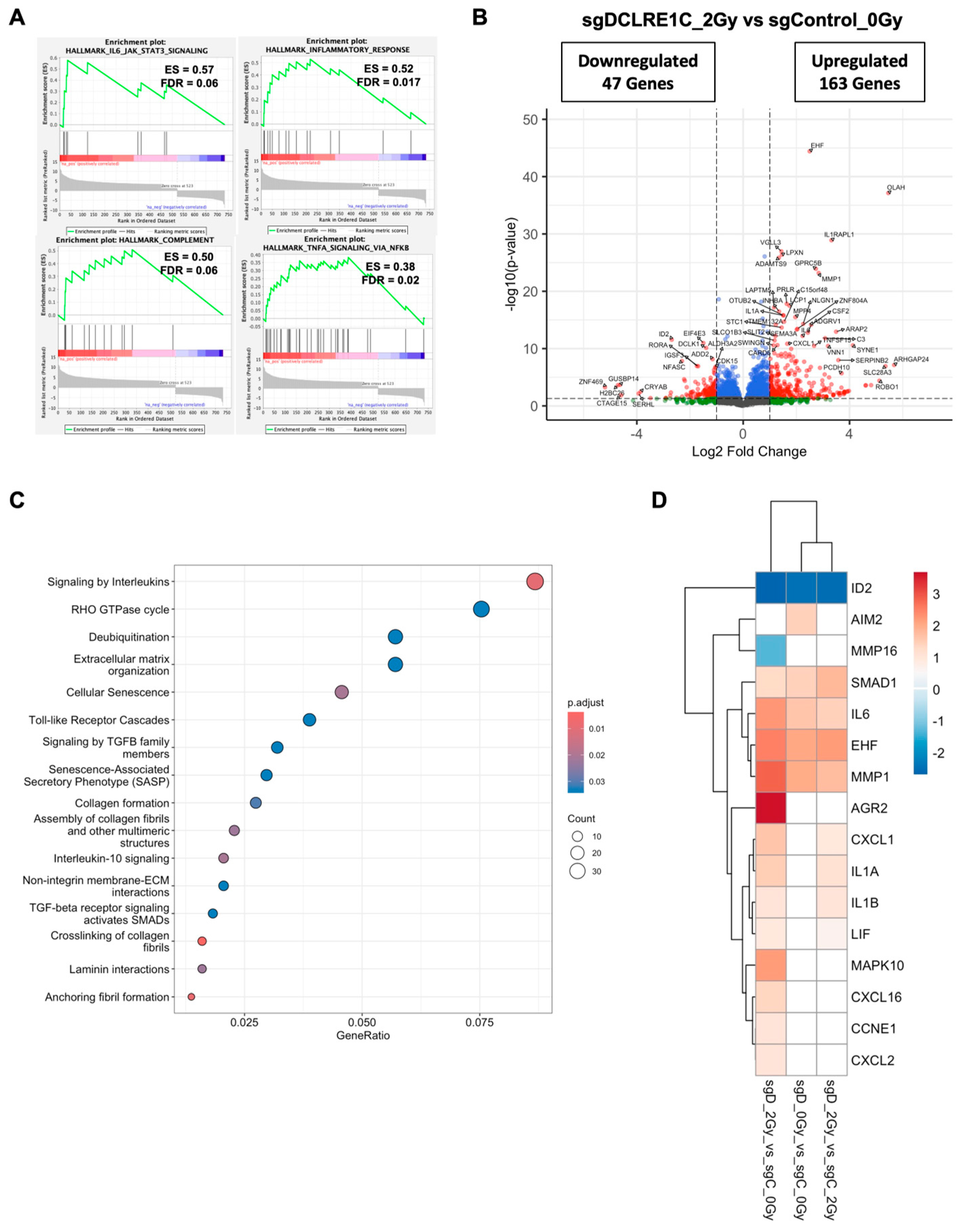 Cancers 17 03279 g005 Cancers 17 03279 g005