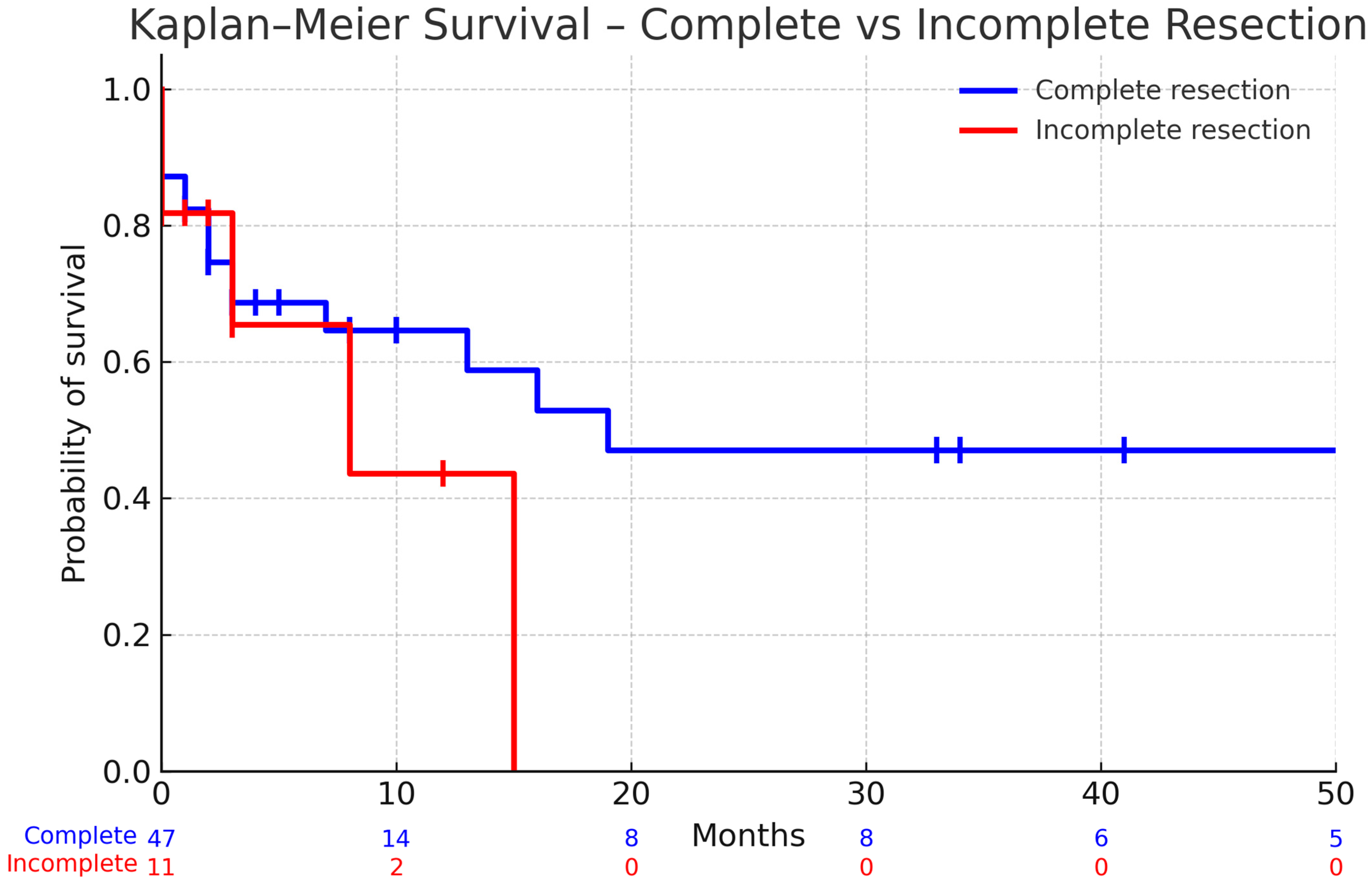 Cancers 17 03281 g002