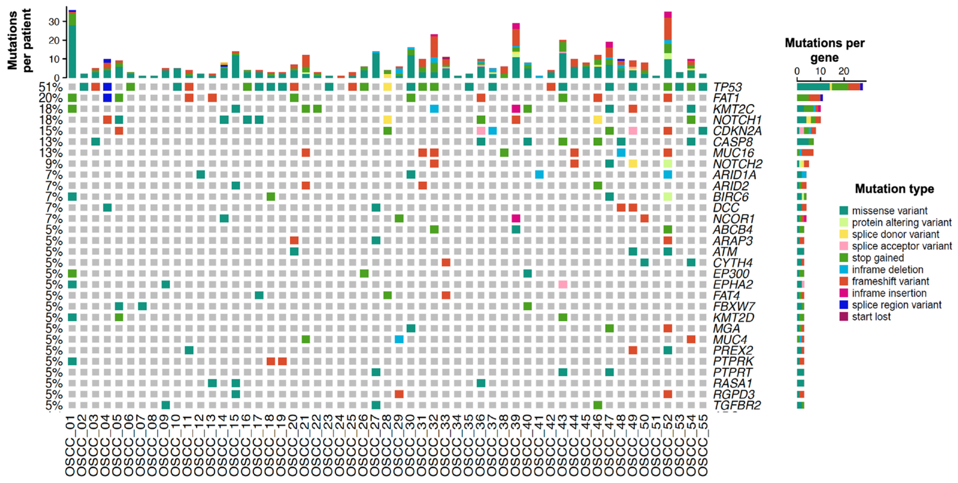 Cancers 17 03282 g001