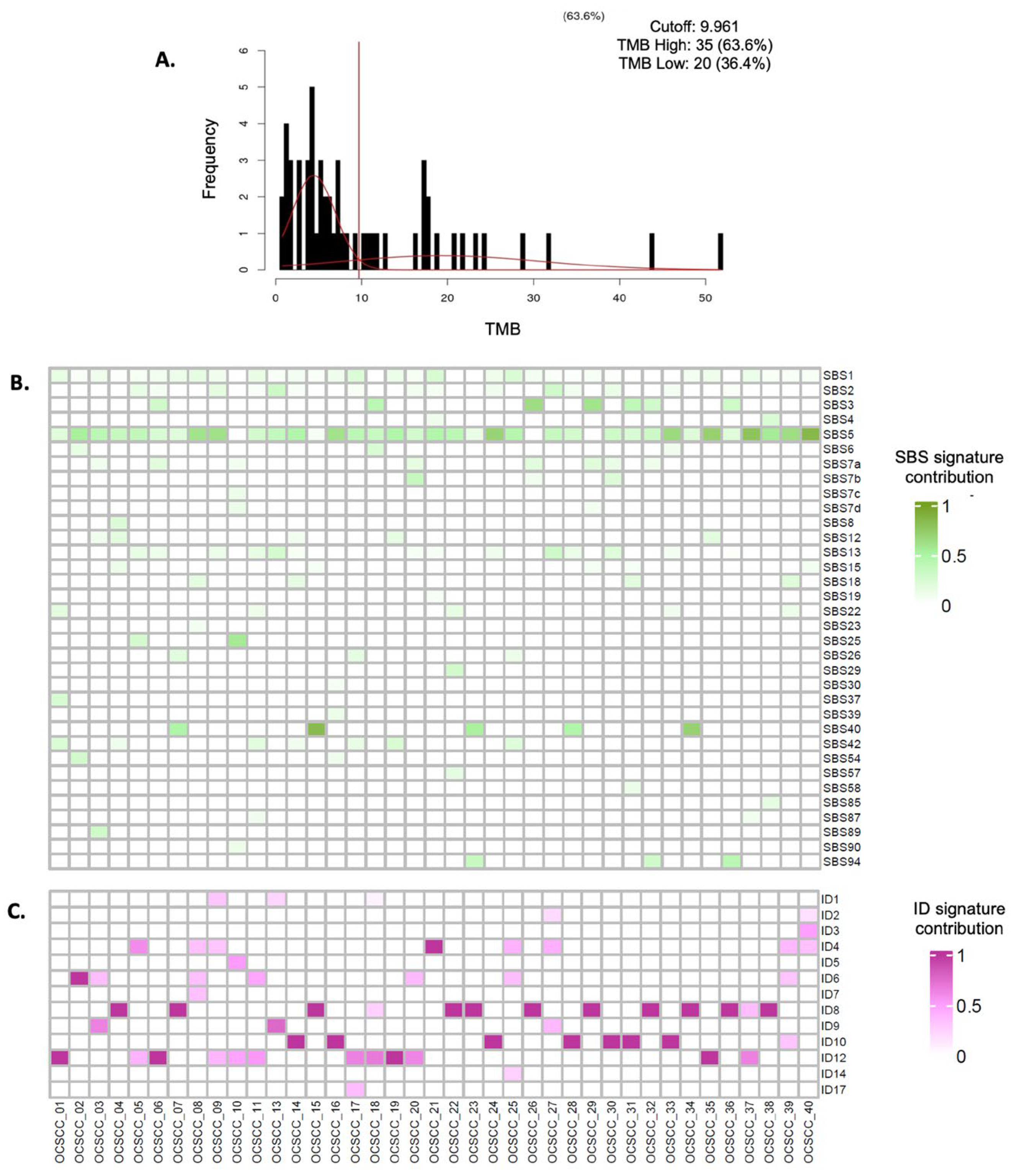 Cancers 17 03282 g002