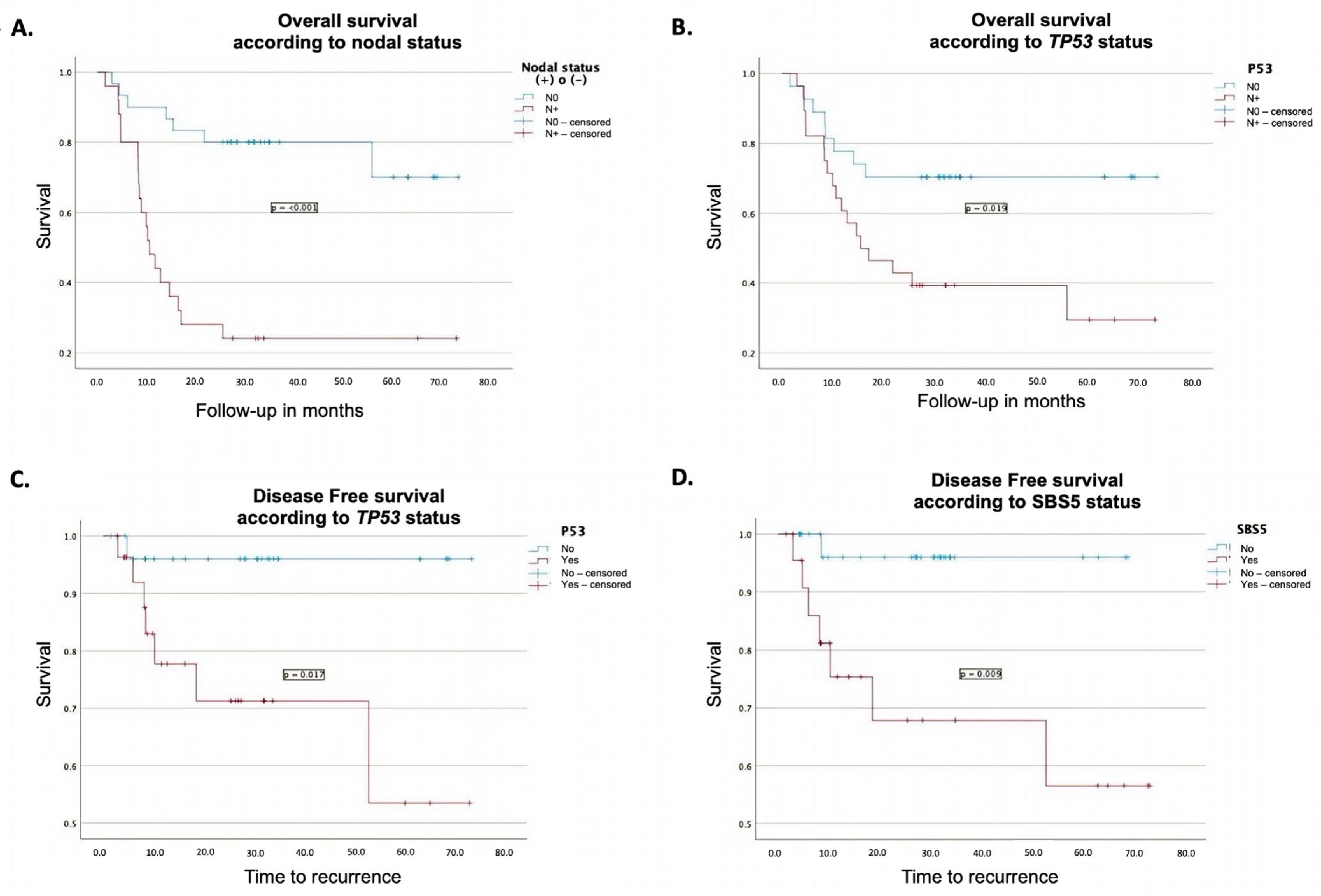 Cancers 17 03282 g003