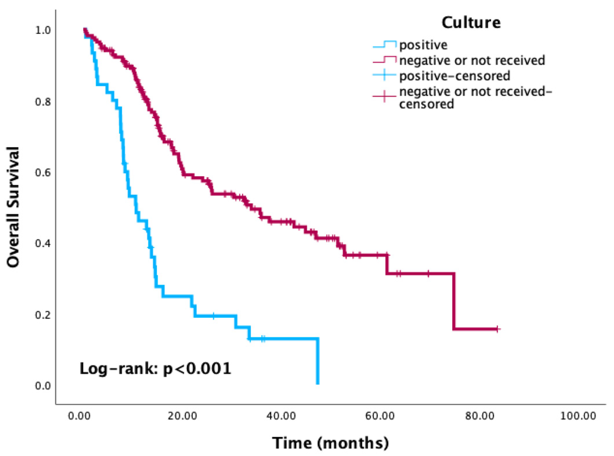 Cancers 17 03283 g003 Cancers 17 03283 g003