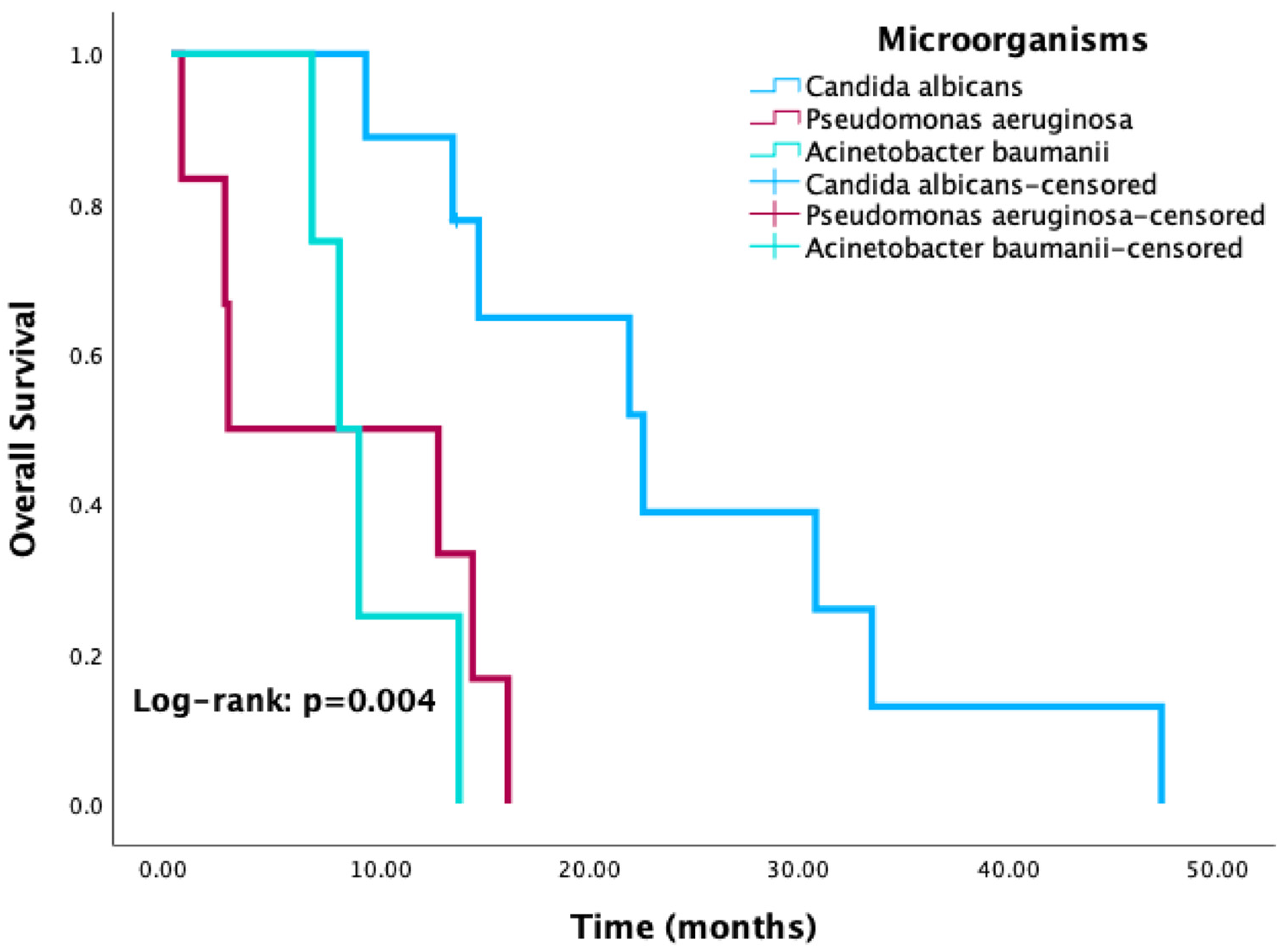 Cancers 17 03283 g005 Cancers 17 03283 g005