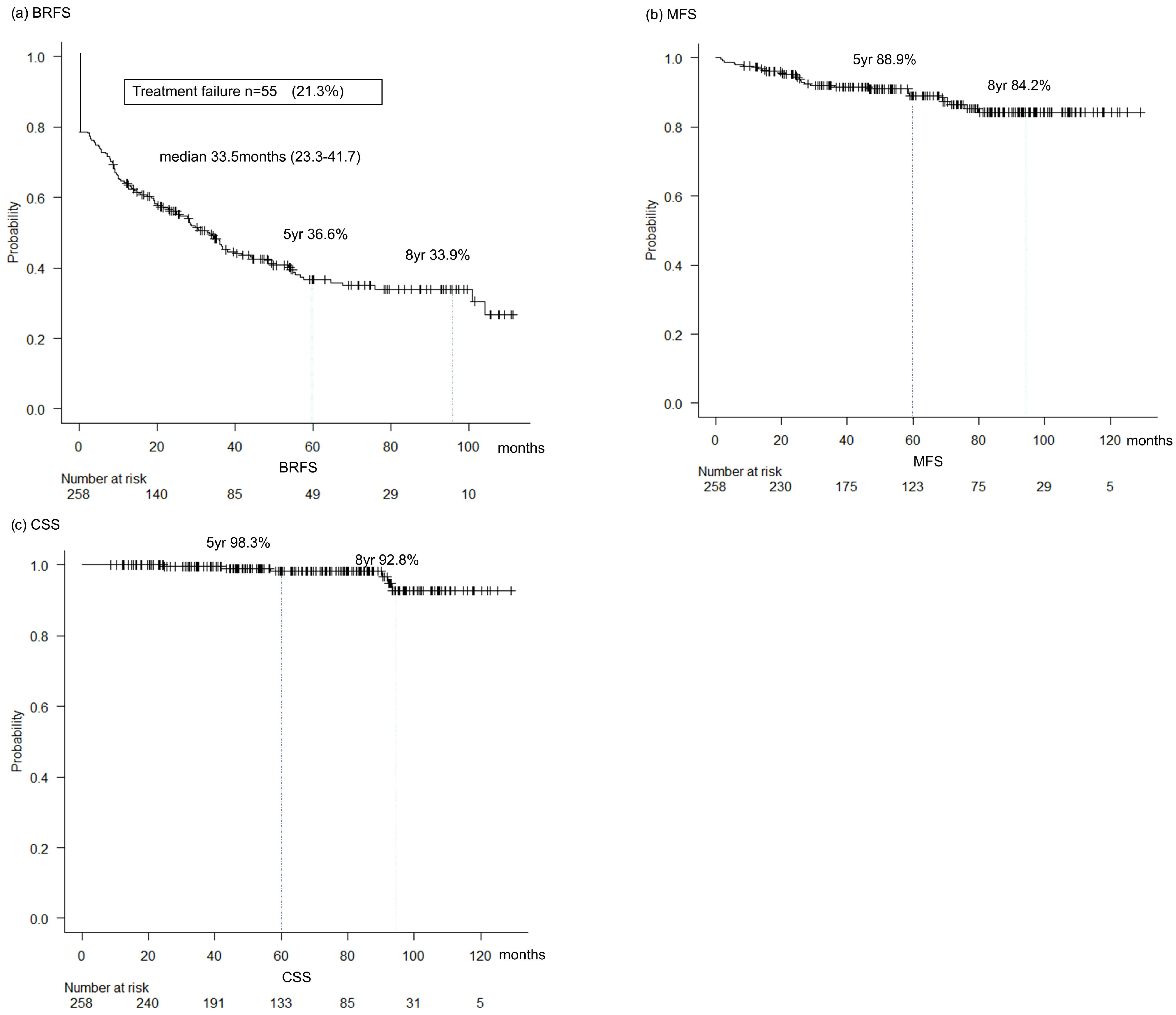 Cancers 17 03286 g001 Cancers 17 03286 g001
