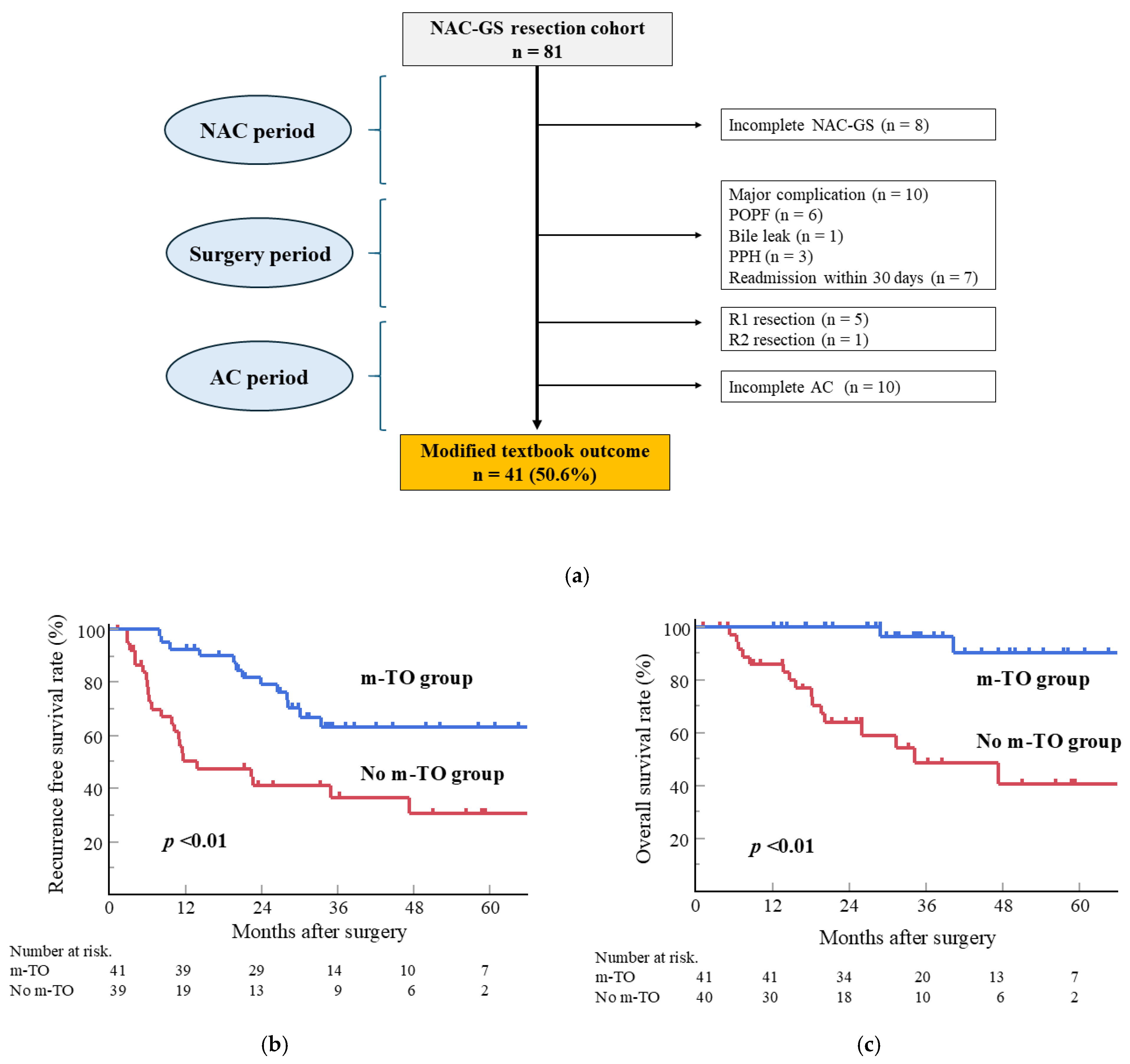 Cancers 17 03287 g003 Cancers 17 03287 g003