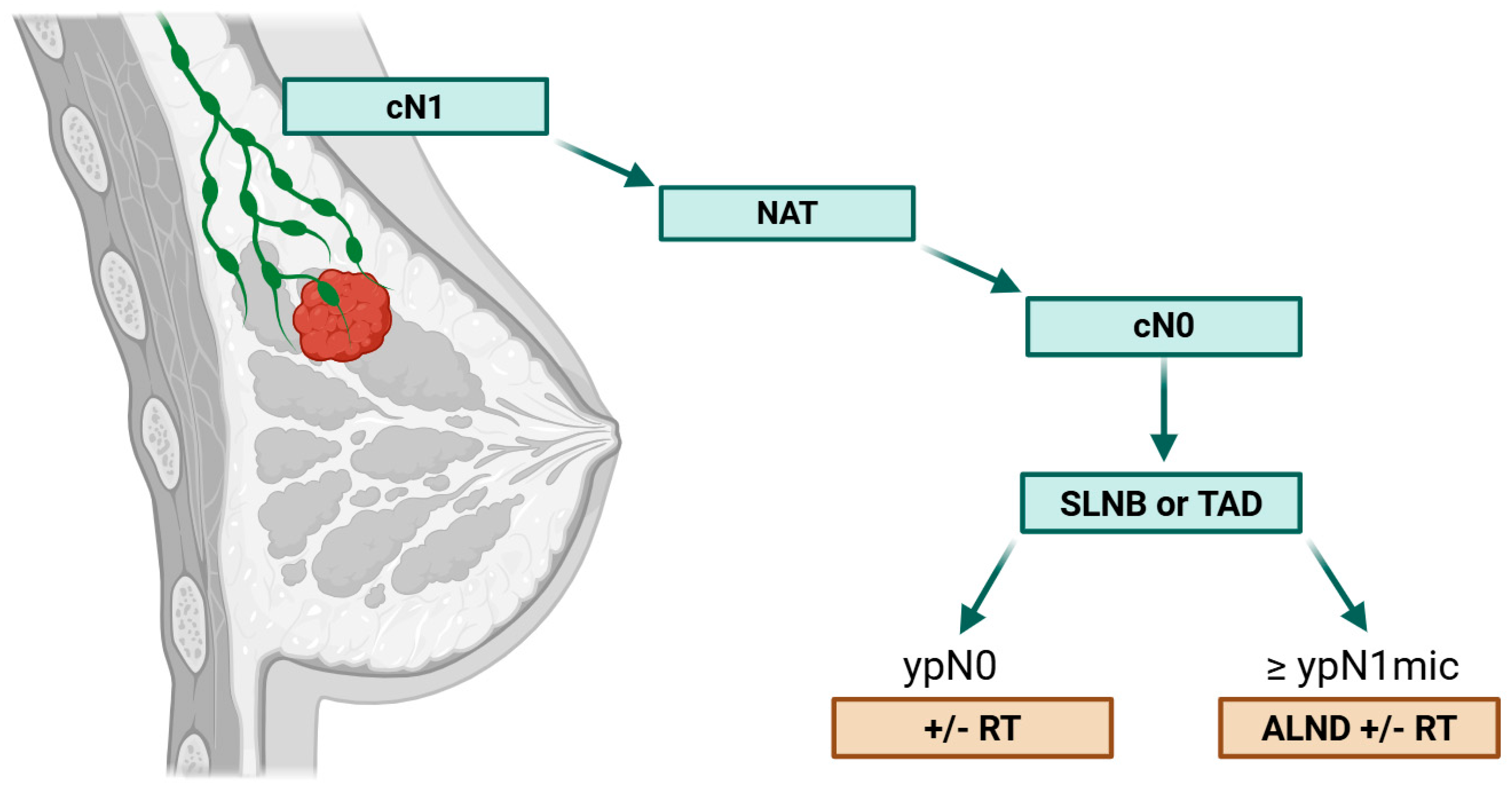 Cancers 17 03288 g001 Cancers 17 03288 g001