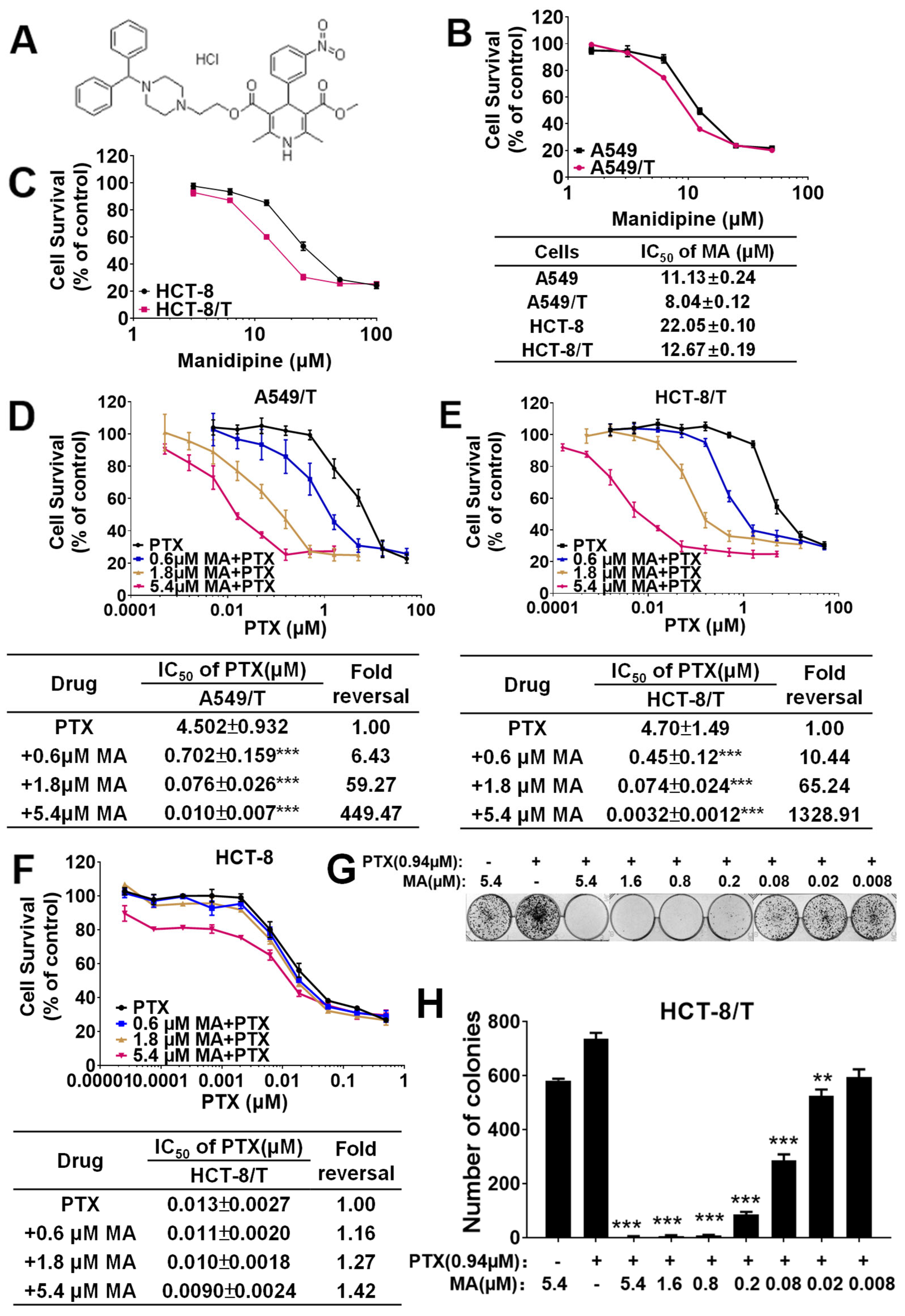 Cancers 17 03289 g001